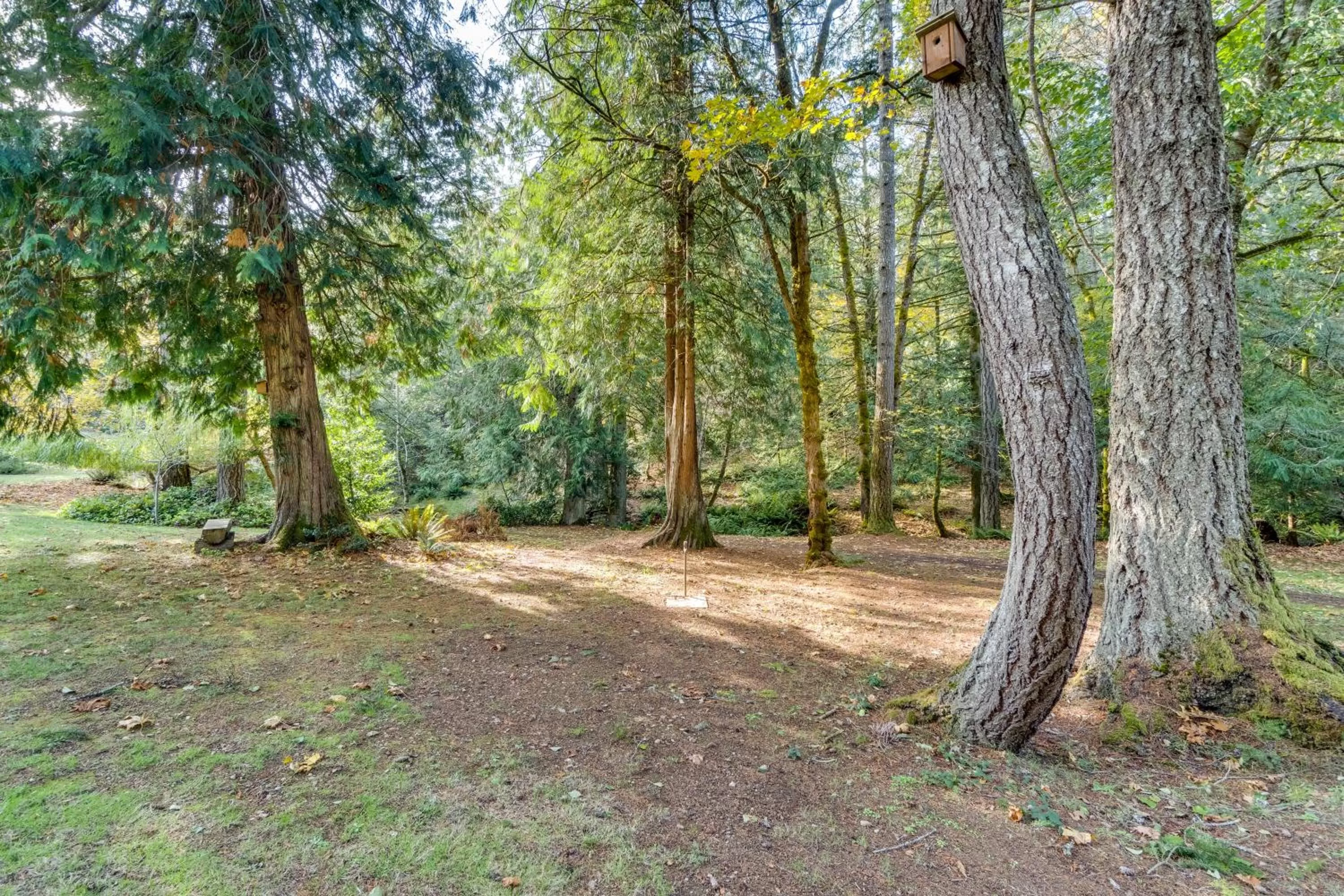 Amante Luxury Bed & Breakfast