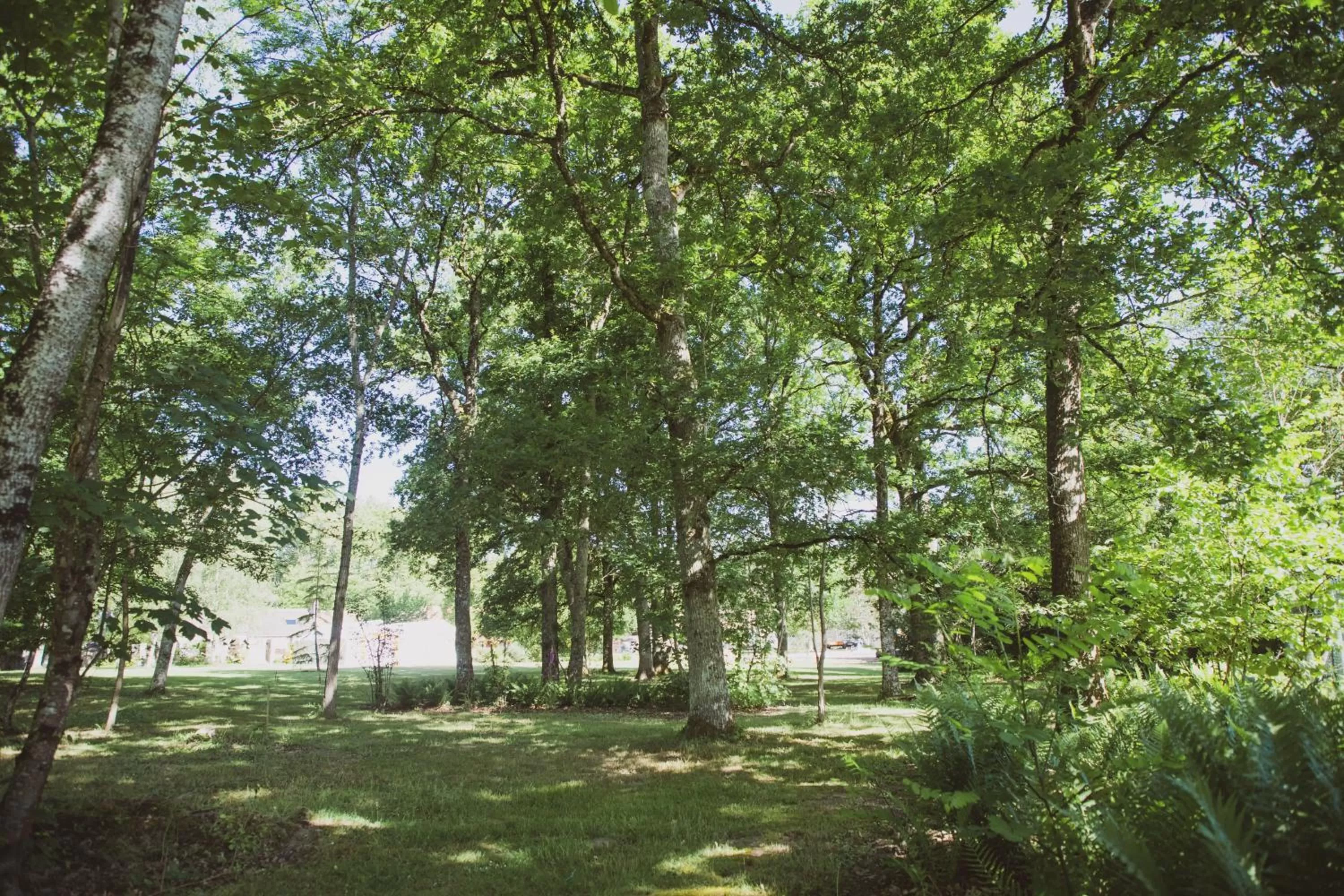 Garden in Domaine de Montizeau