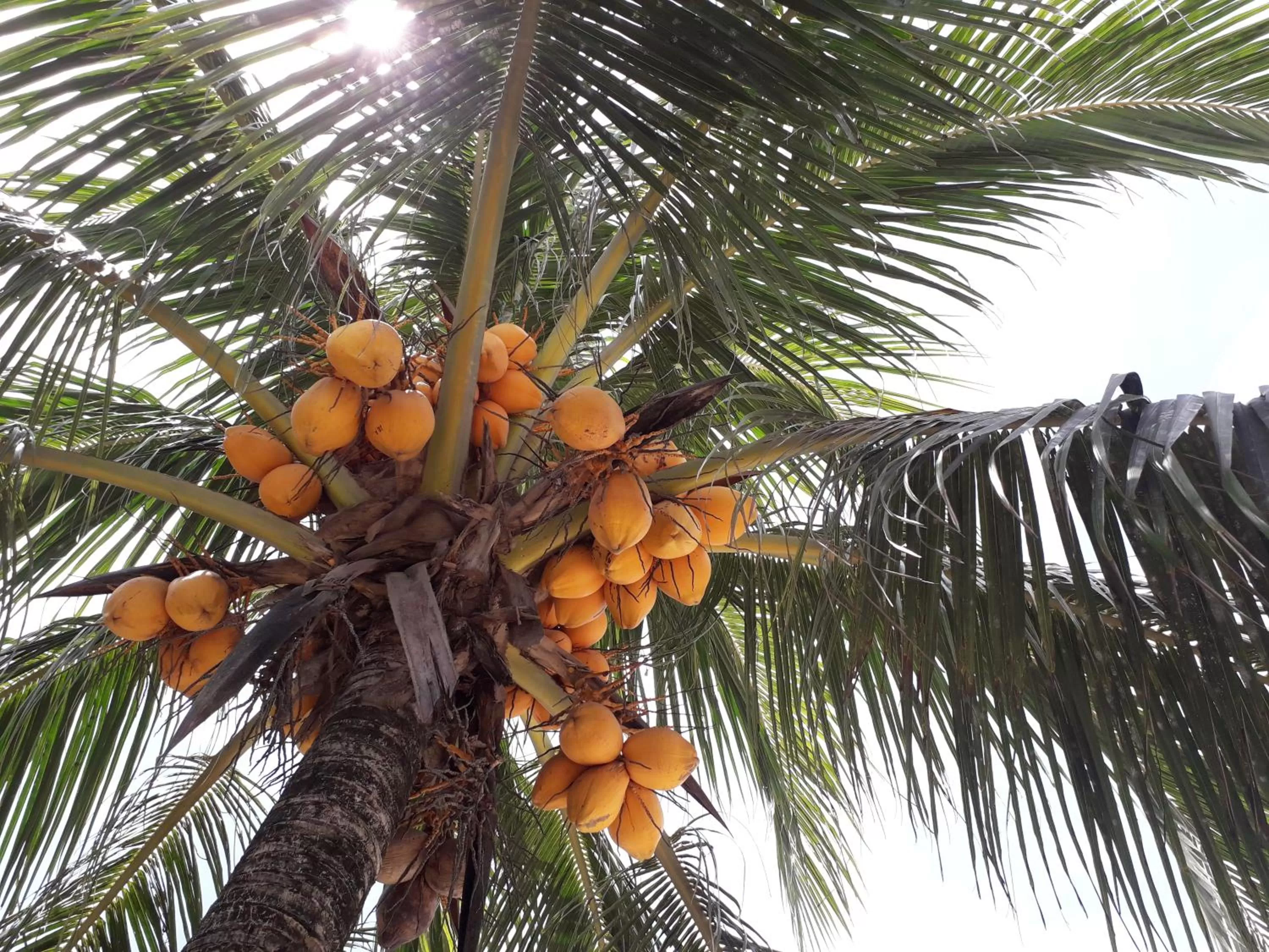 Natural landscape in Chislyk Inn