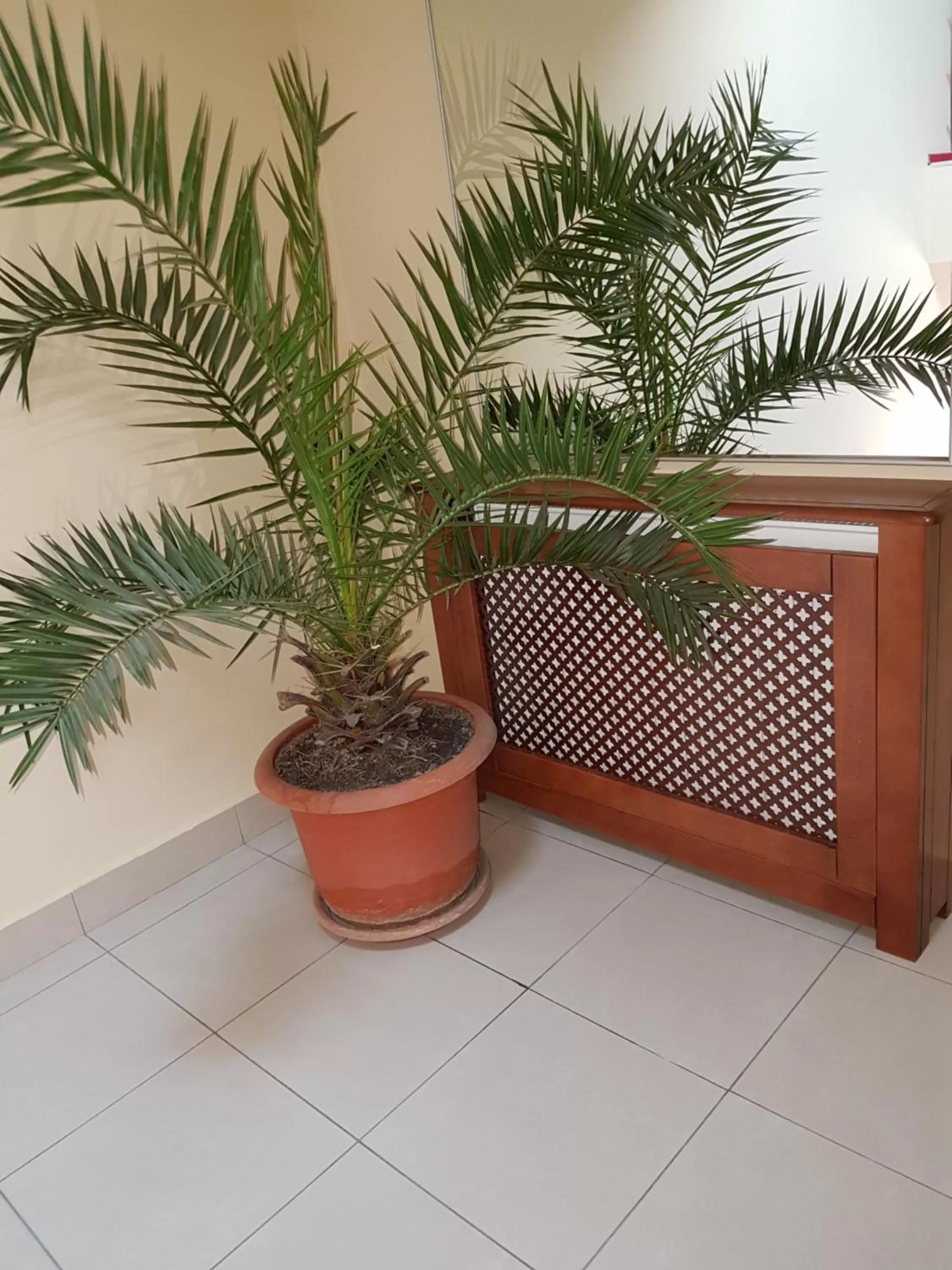 Lobby or reception in Hotel Iris