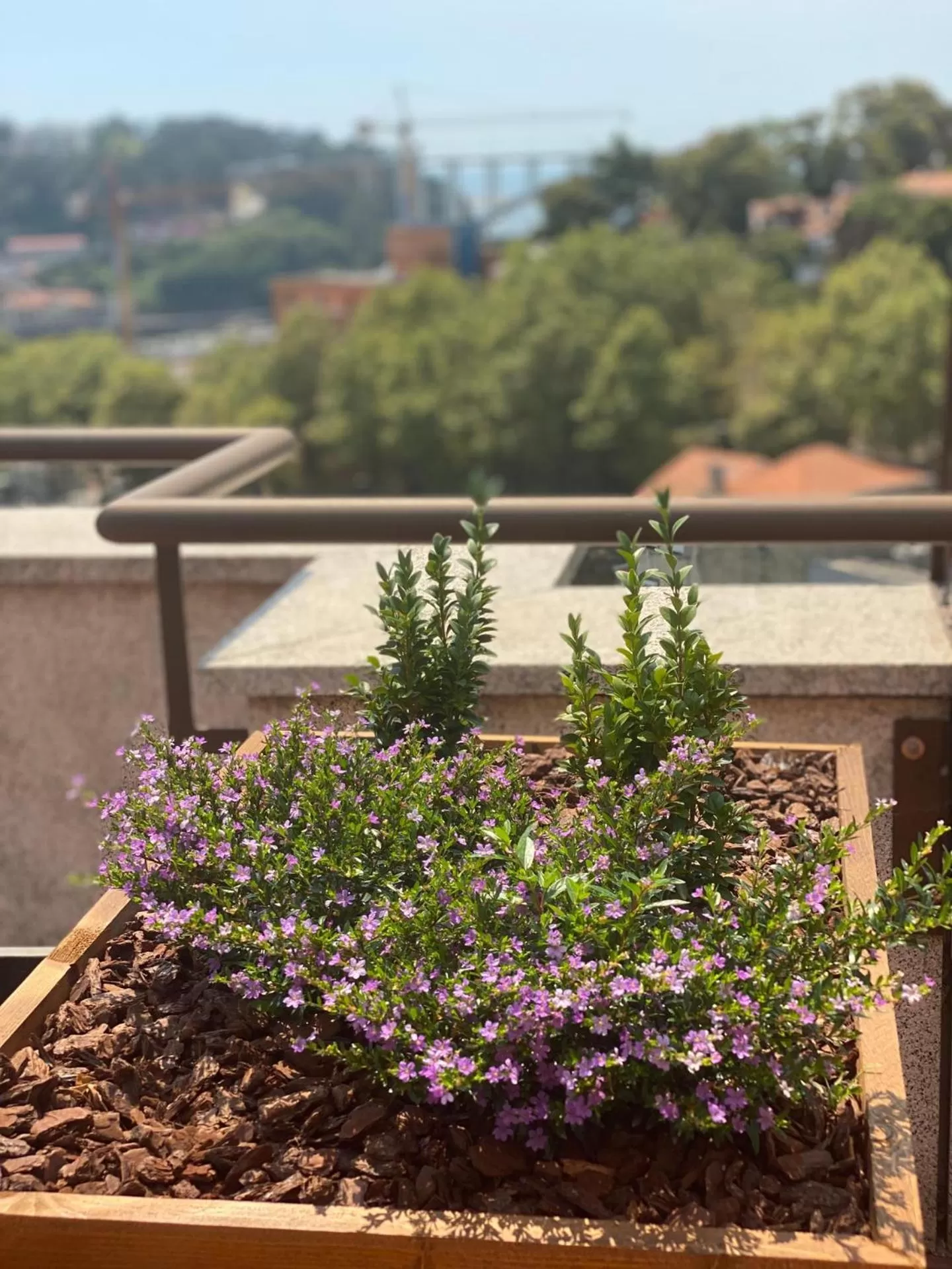 View (from property/room) in Vilar Oporto Hotel