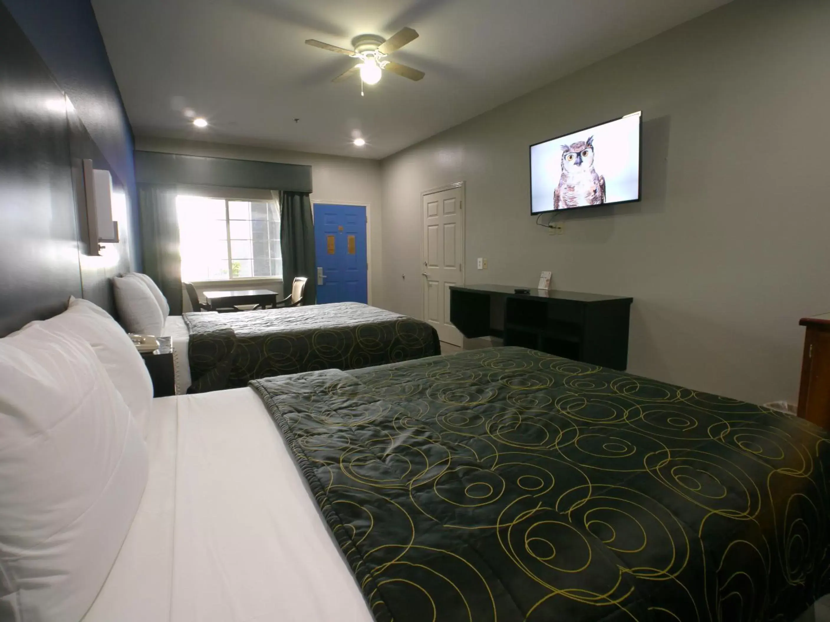 Queen Room with Two Queen Beds - Non-Smoking in Texas Inn Alamo Queen Room with Two Queen Beds - Non-Smoking in Texas Inn Alamo