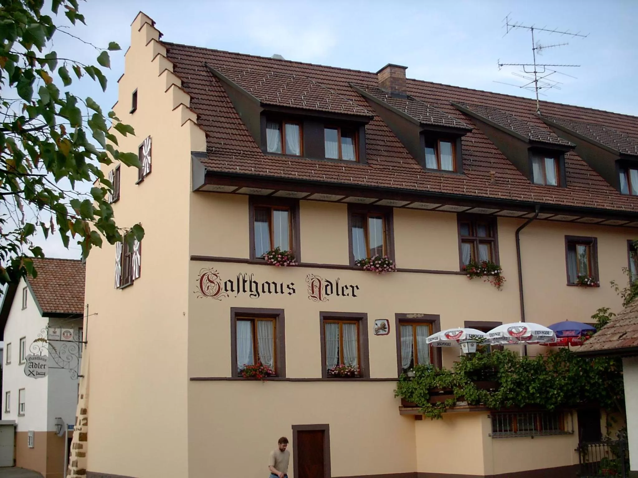 Property building in Der Adler