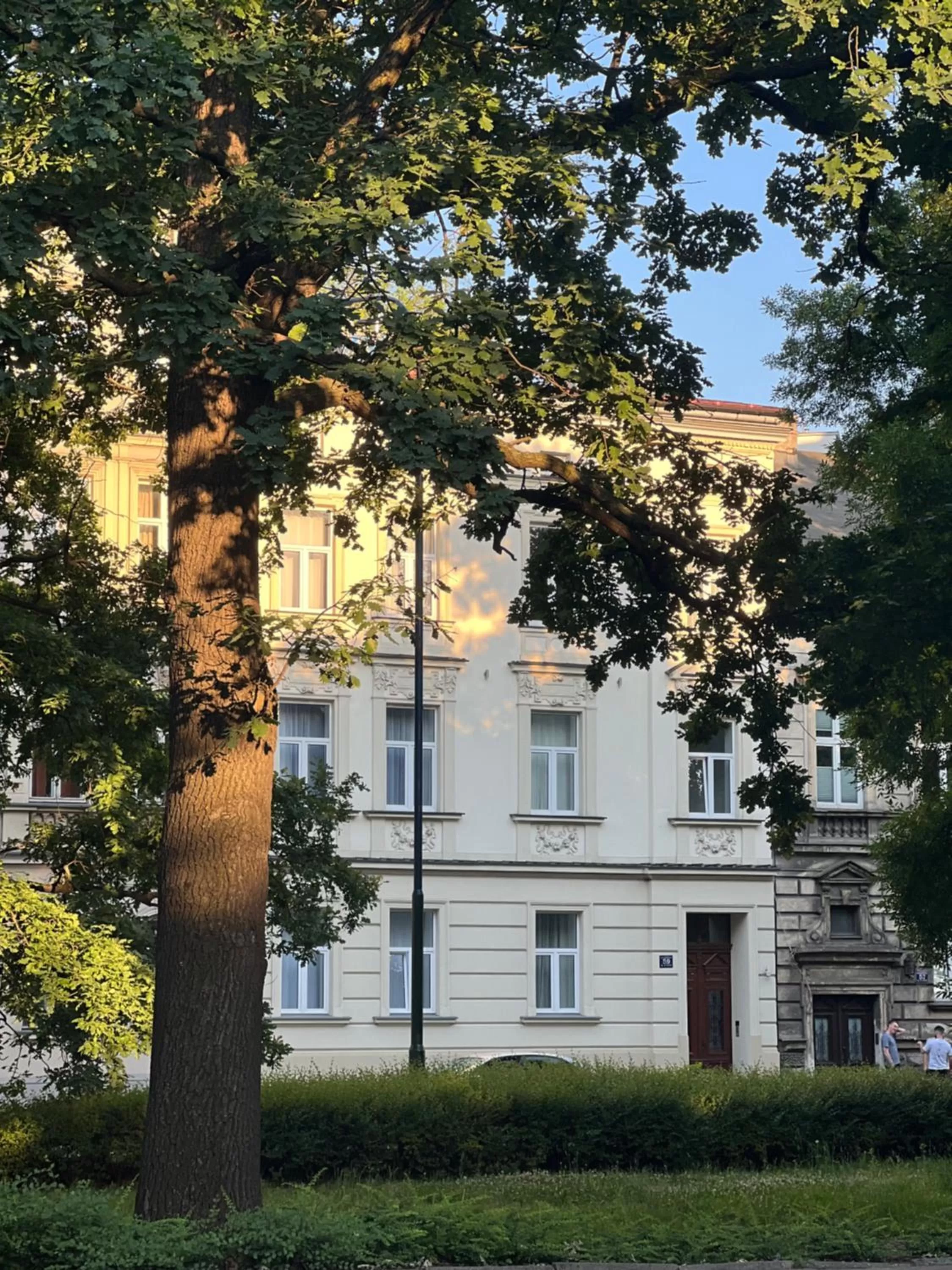 Property building in Hive Family House