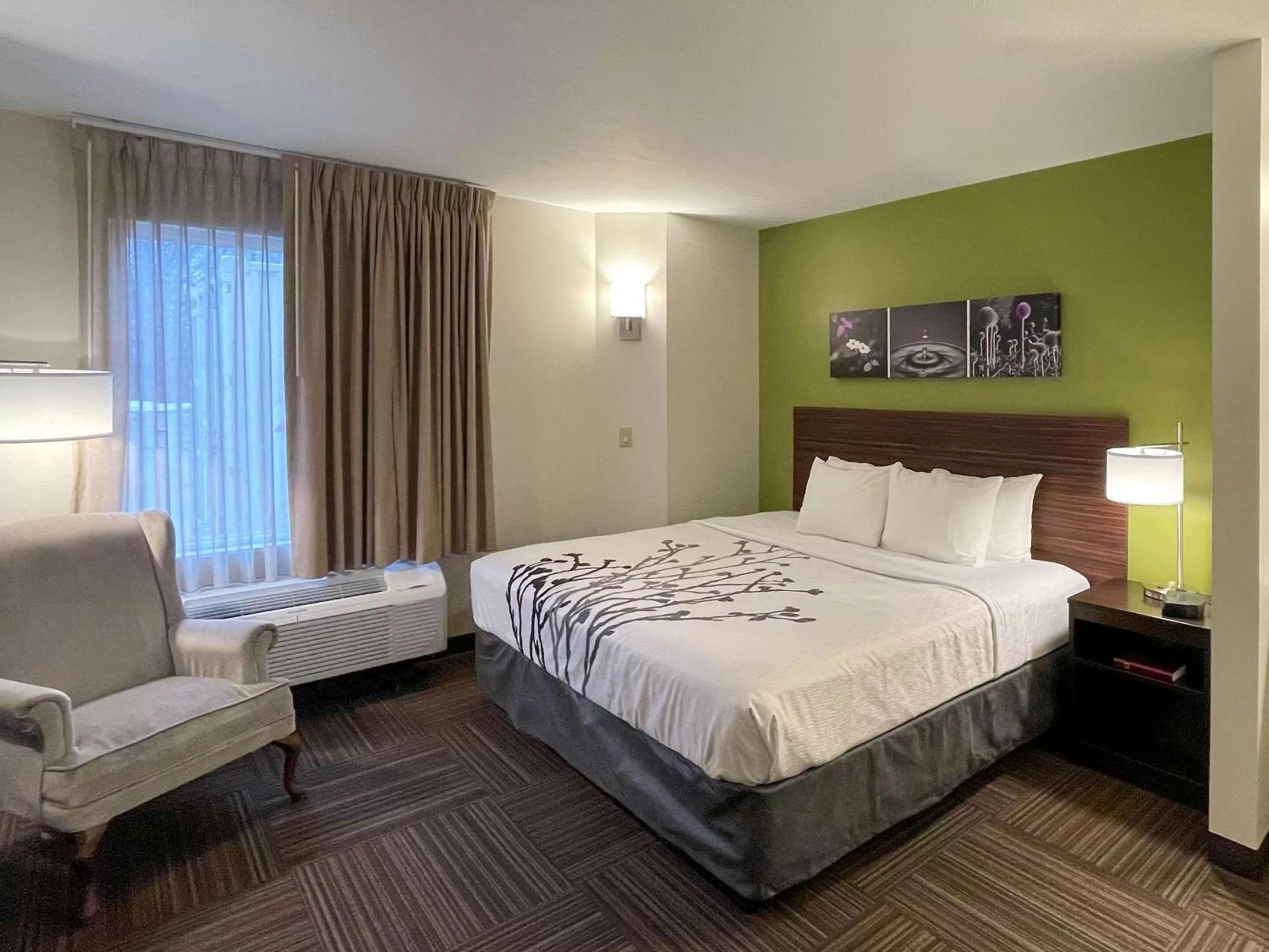 Photo of the whole room, Bed in Sleep Inn