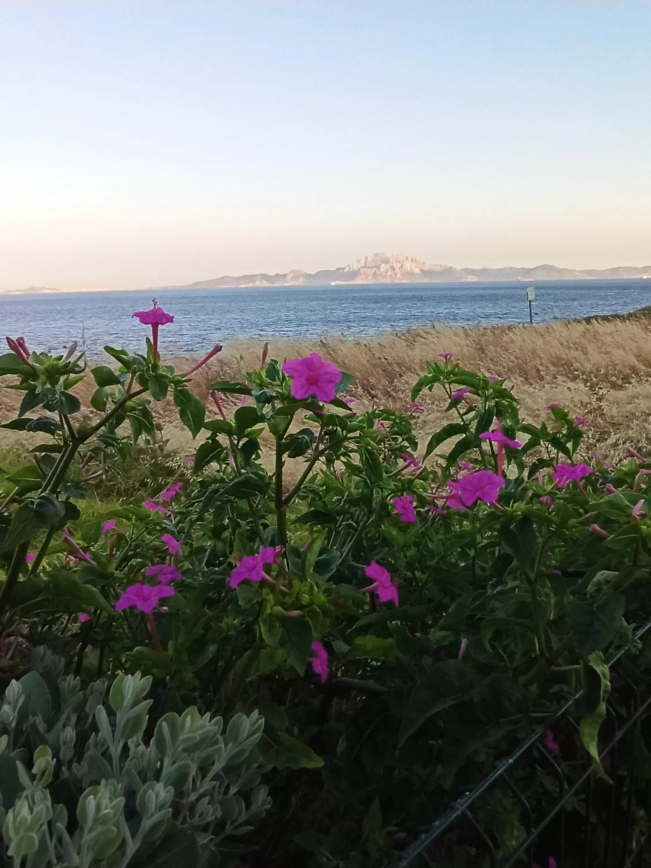 Punta Carnero Hostal singular