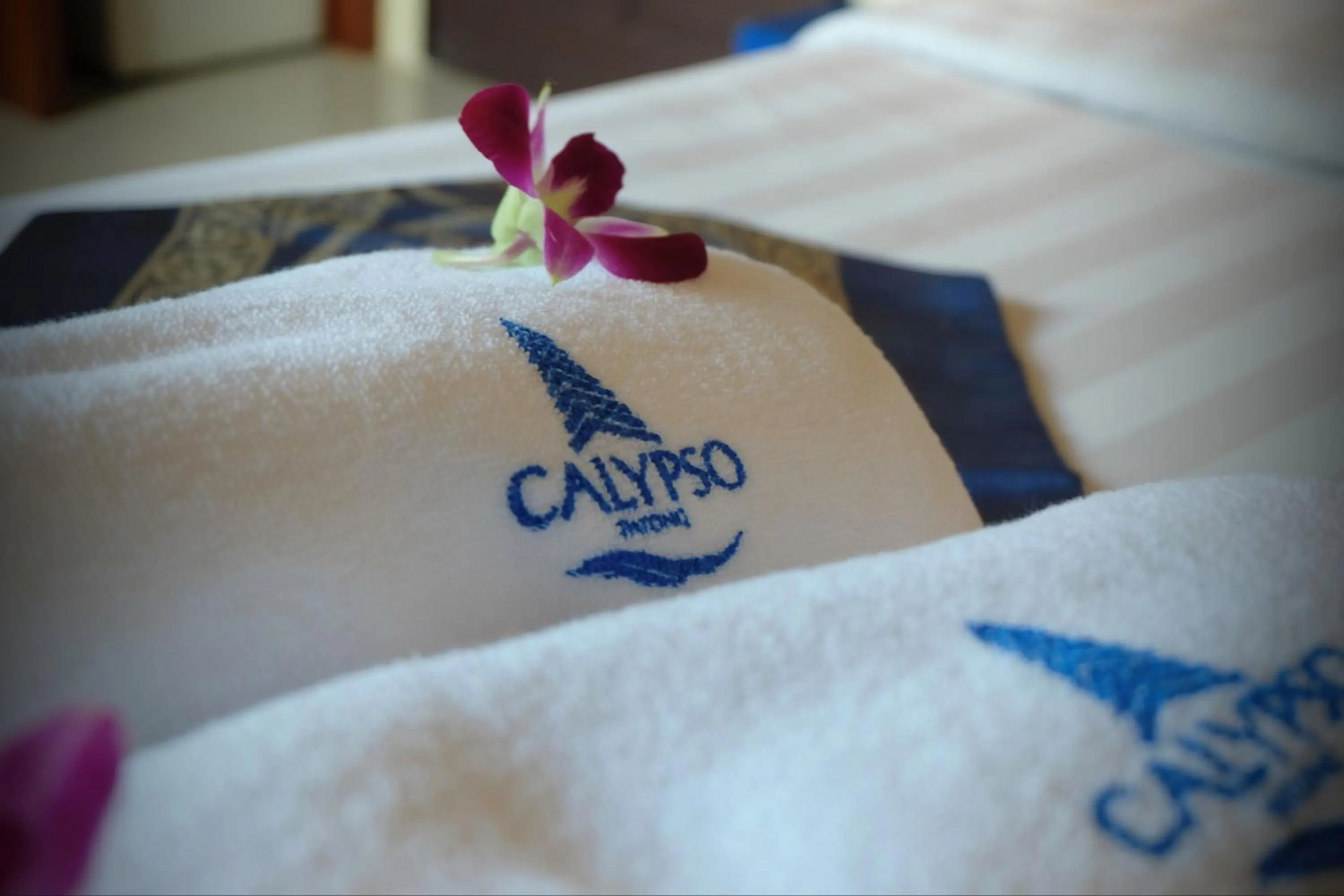 Calypso Patong Hotel