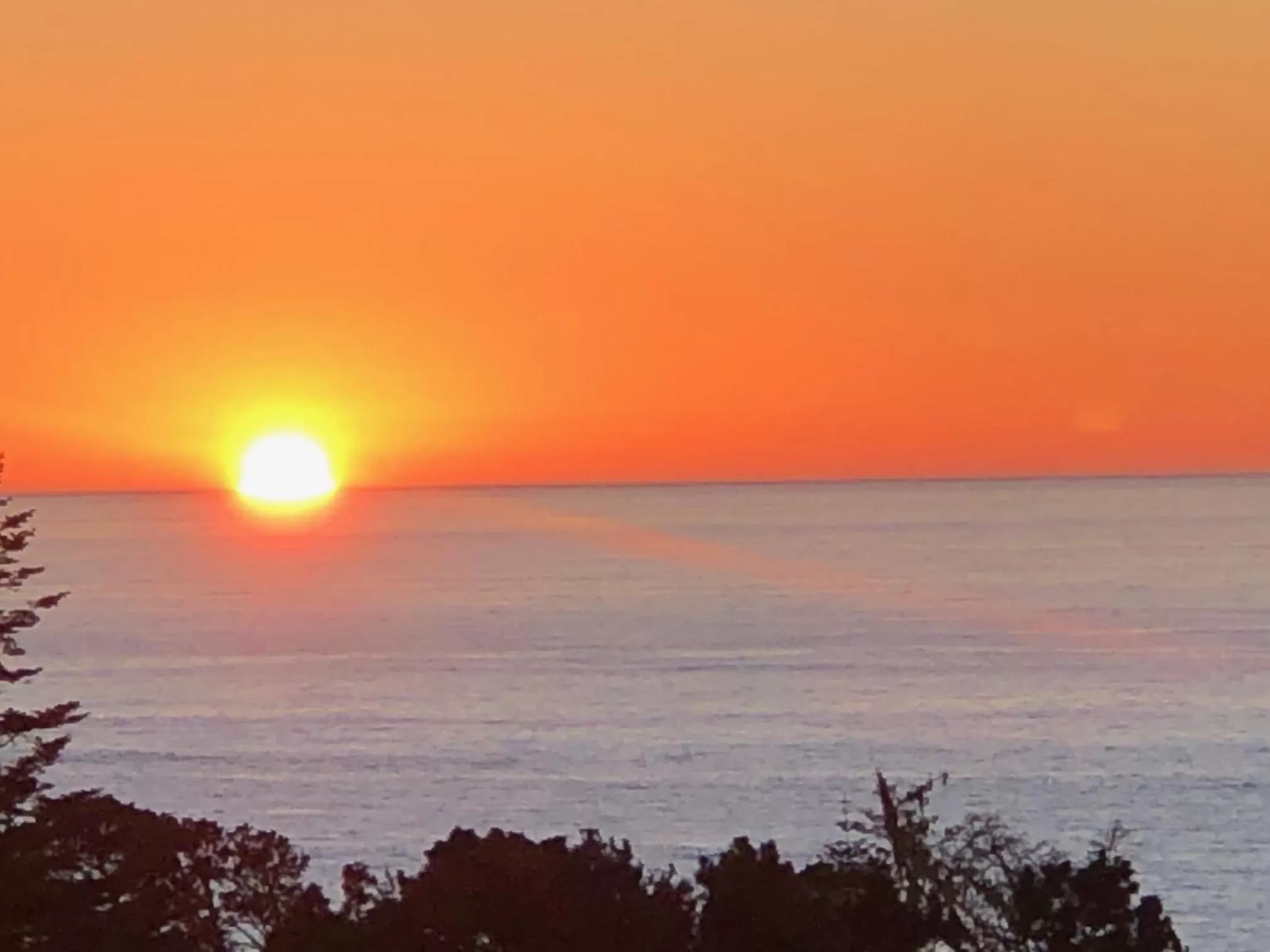 Natural landscape in Seafoam Lodge