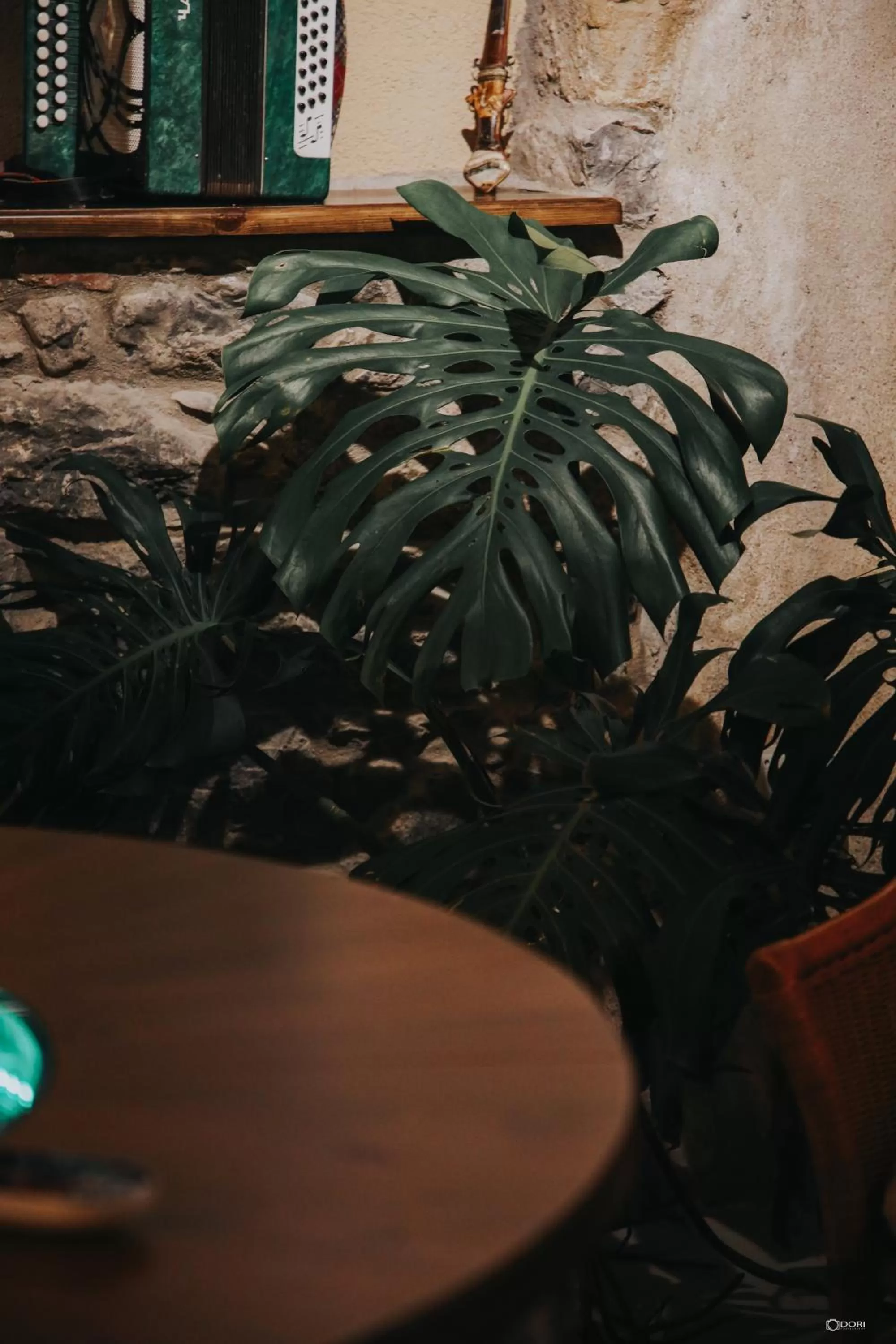 Property building in Vila Sonnet