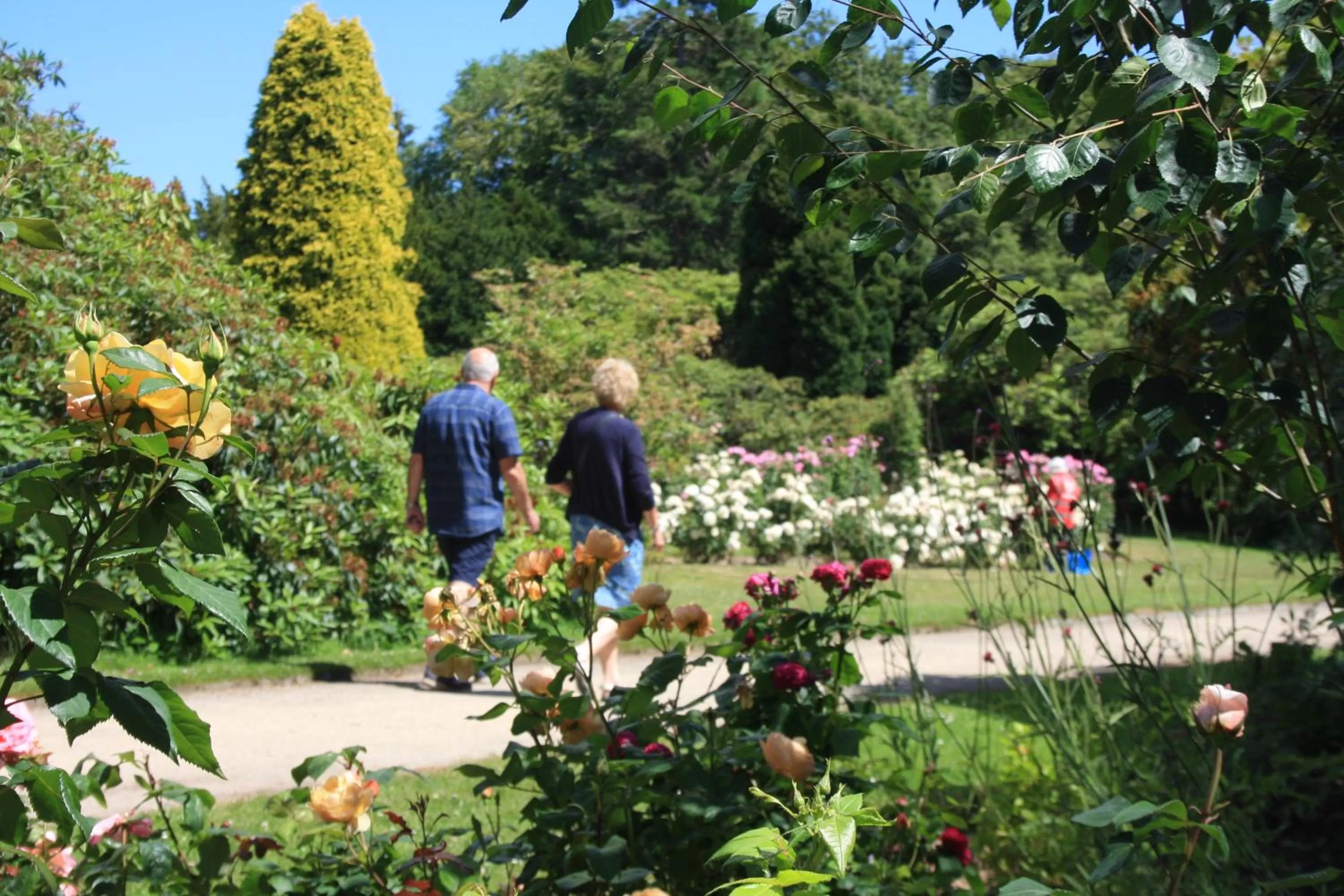 Garden in Ushaw Historic House, Chapels & Gardens