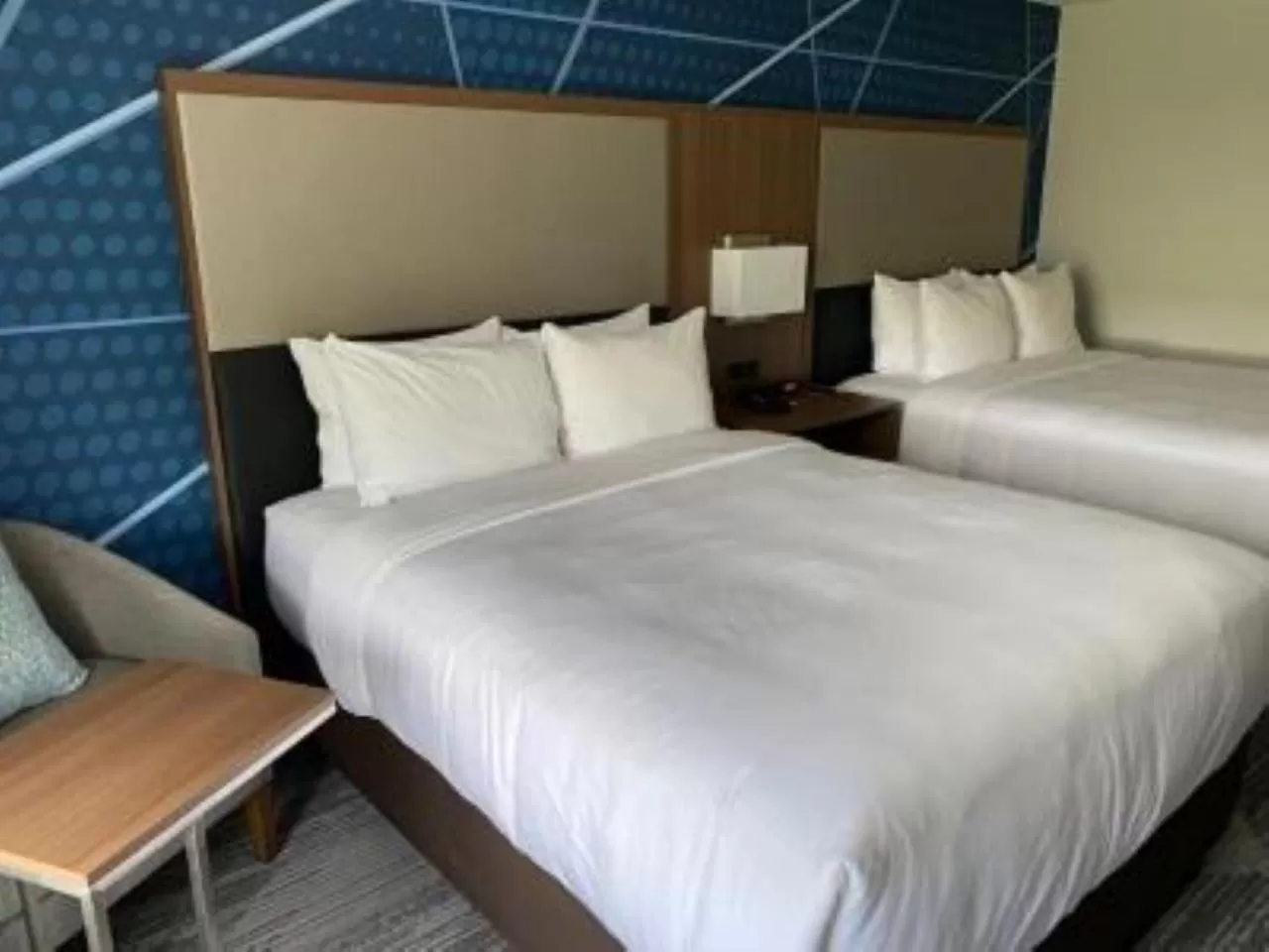 Bed in Comfort Inn & Suites Gallatin - Nashville Metro