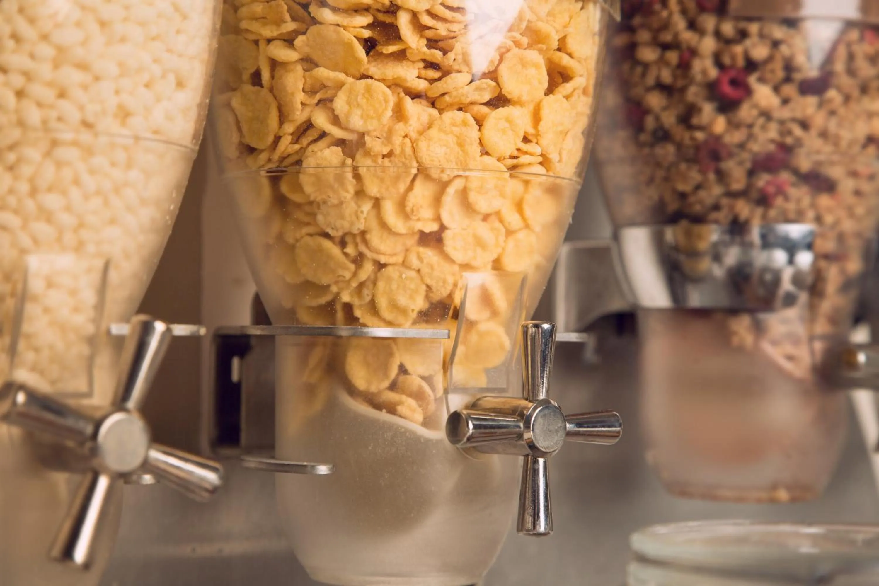 Buffet breakfast in eco Hotel Milano & BioRiso Restaurant