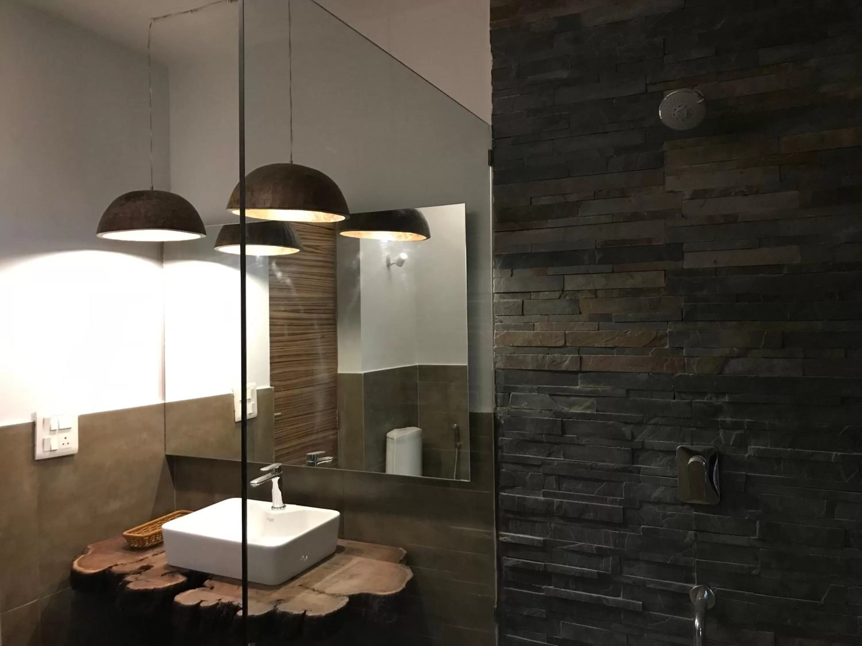 Shower in Seclude Kasauli, Himachal Pradesh