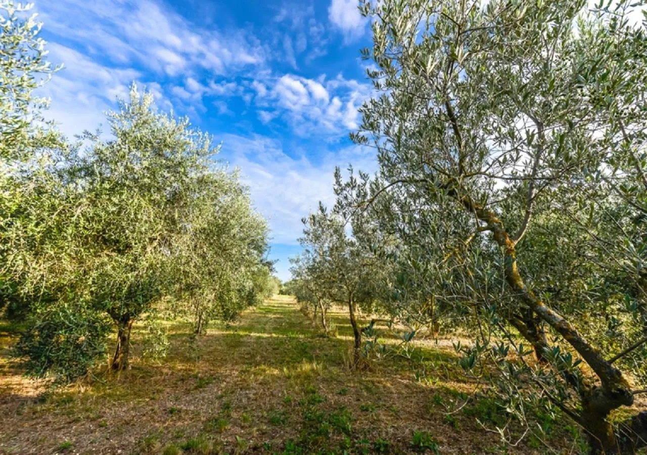 Garden in Relais Paradiso Resort & Spa