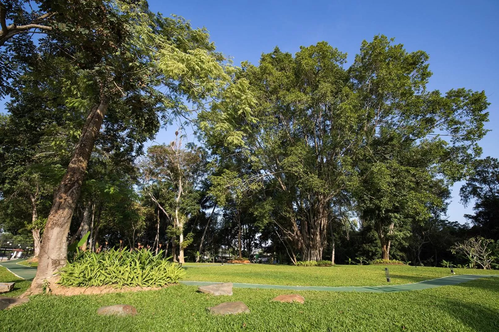 Natural landscape in The Heritage Chiang Rai Hotel and Convention