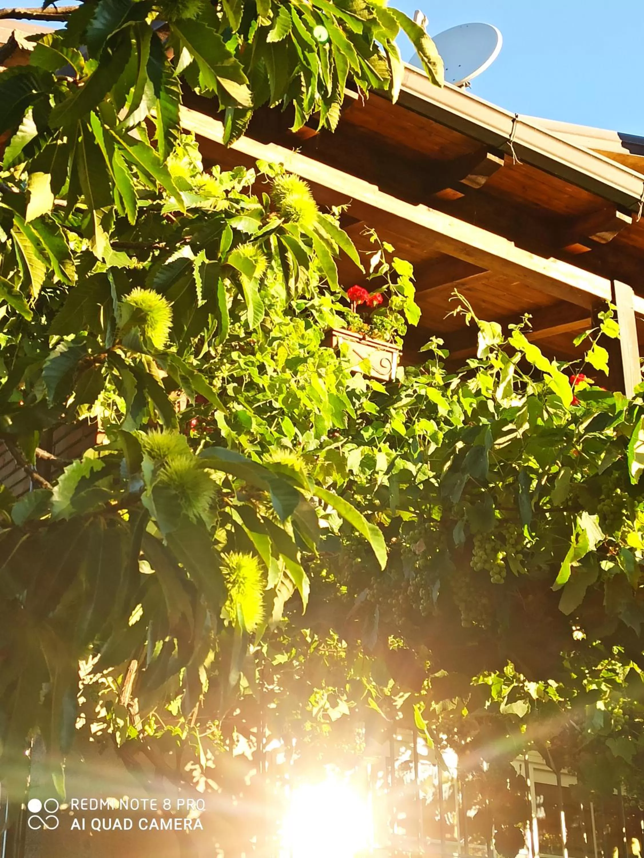 Dolcedorme del Pollino