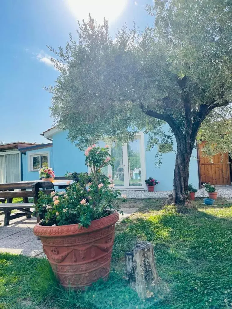 Deluxe Studio in B&B La Rosa Nel Verde Deluxe Studio in B&B La Rosa Nel Verde