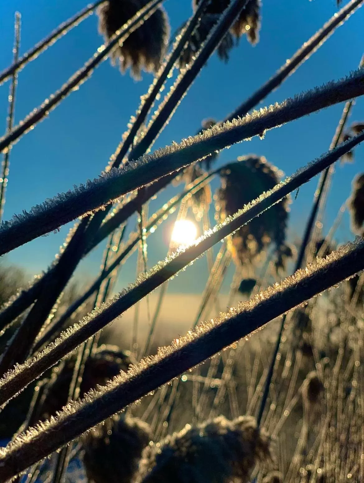Staff in Hotel Lugsteinhof