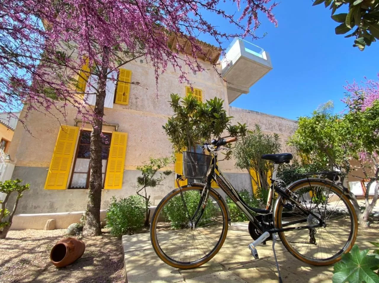 Garden in Hotel Boutique Can Pocovi