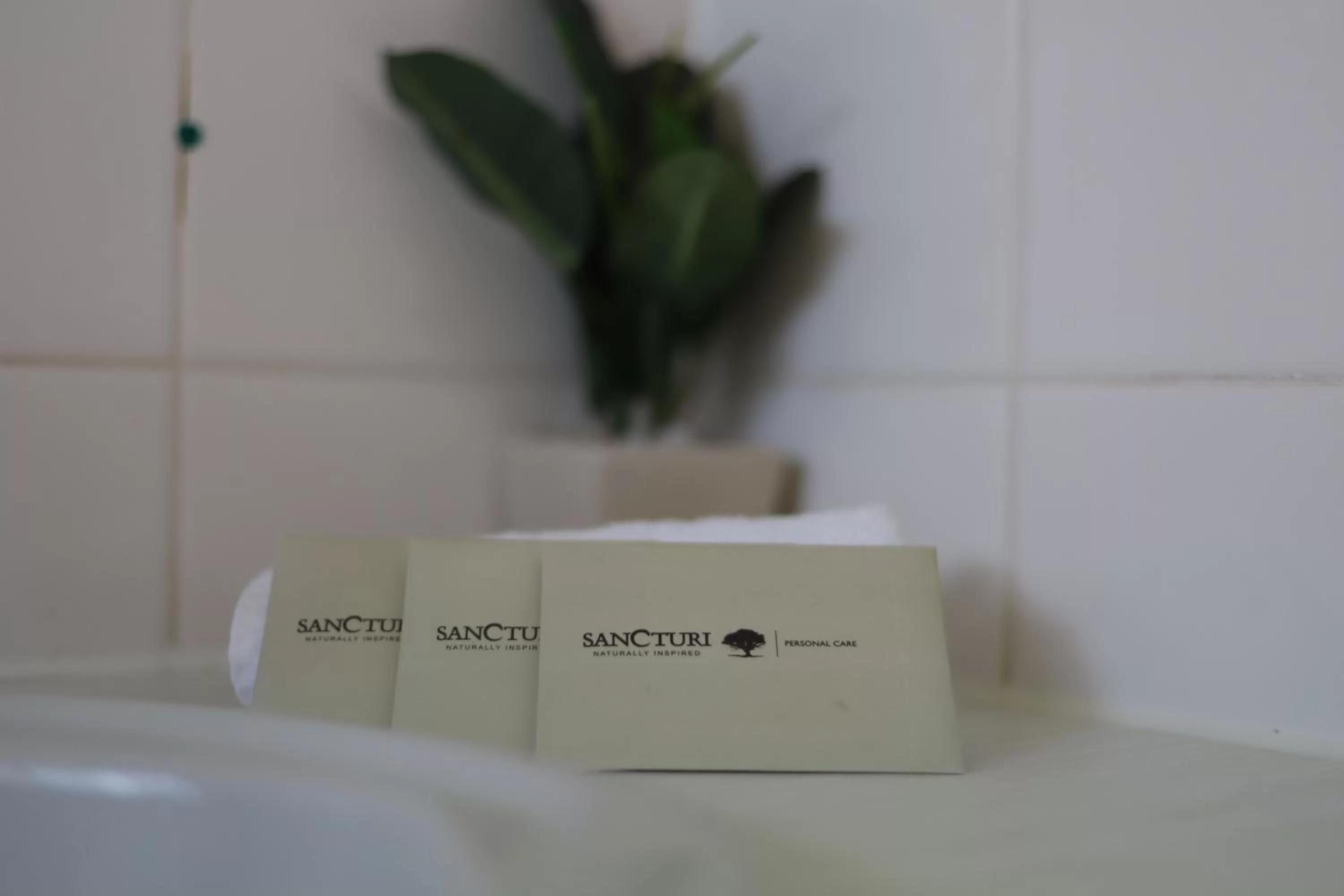 Toilet in The Town House Motor Inn