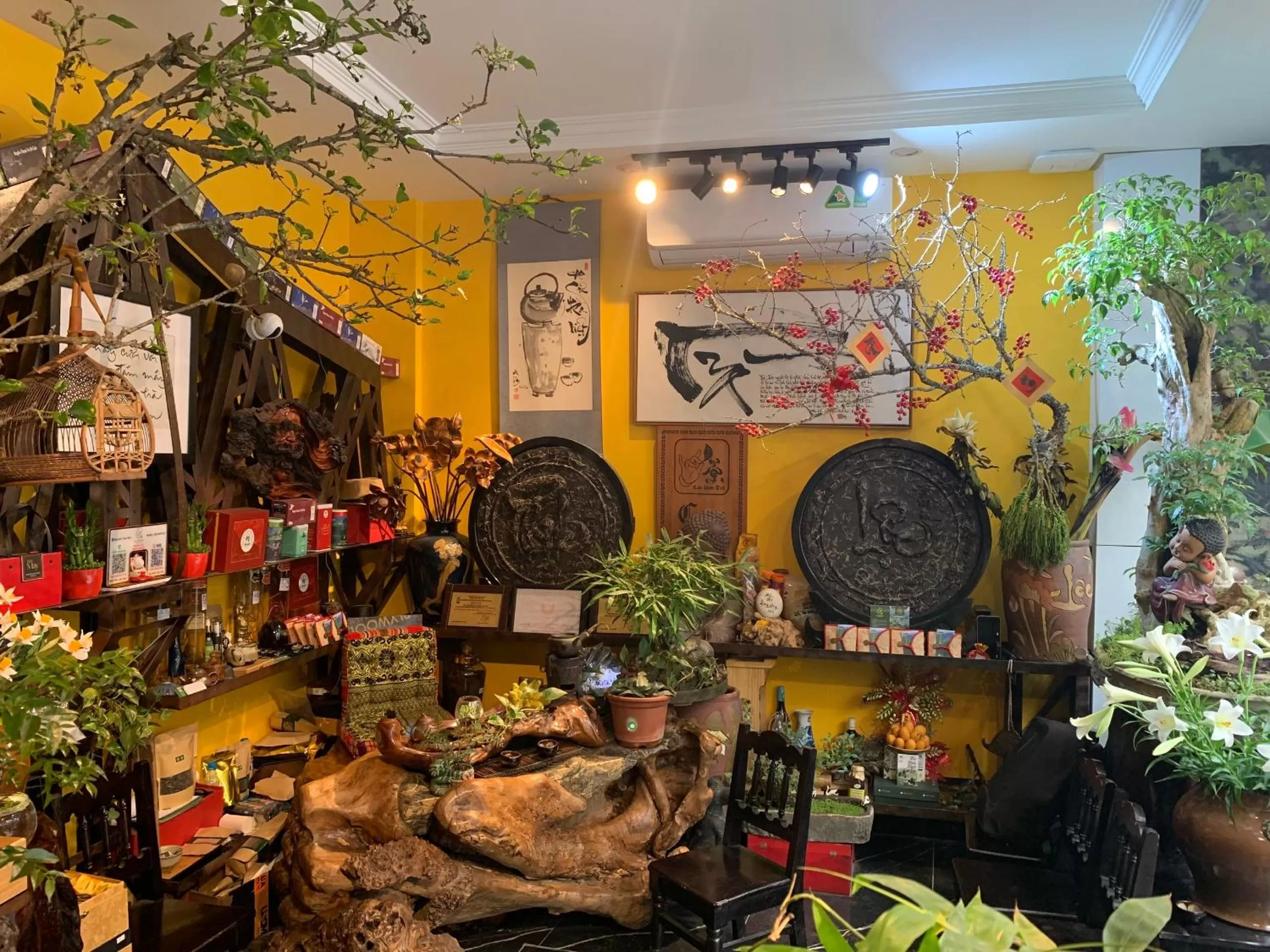 Lobby or reception in Maison Mackeno