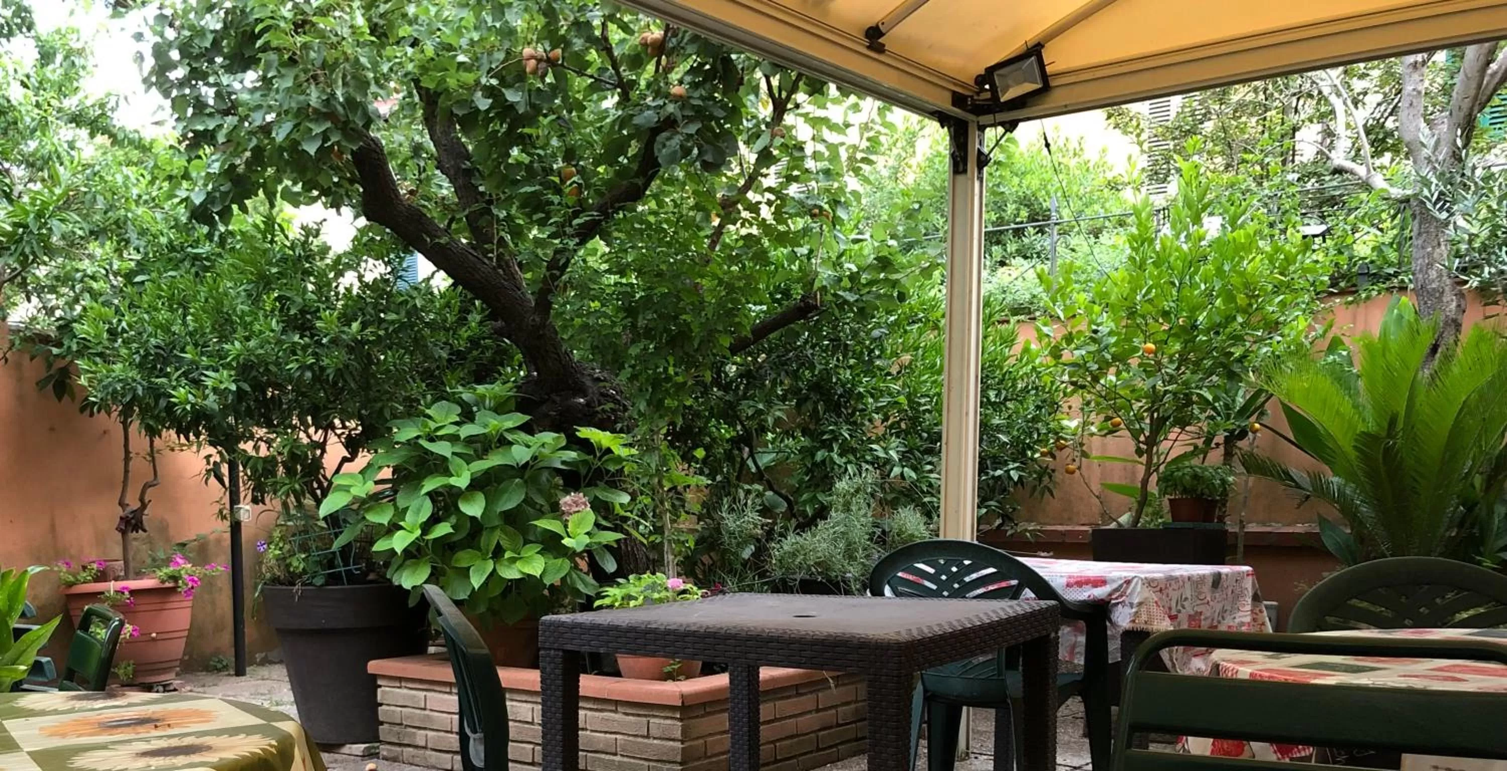 Garden in Hotel Villa Il Castagno