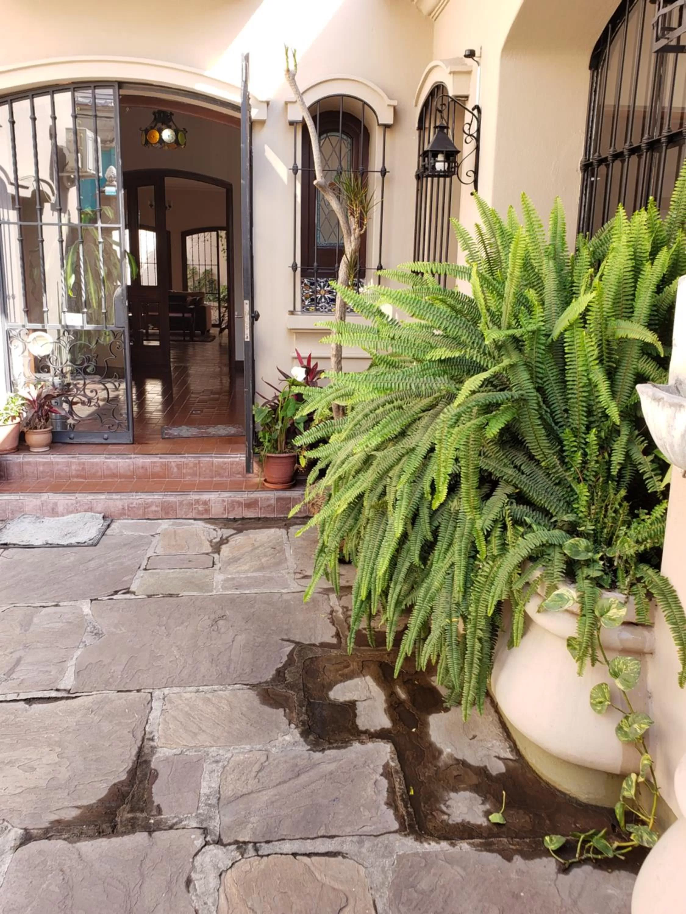 Posta del Ángel - Salta