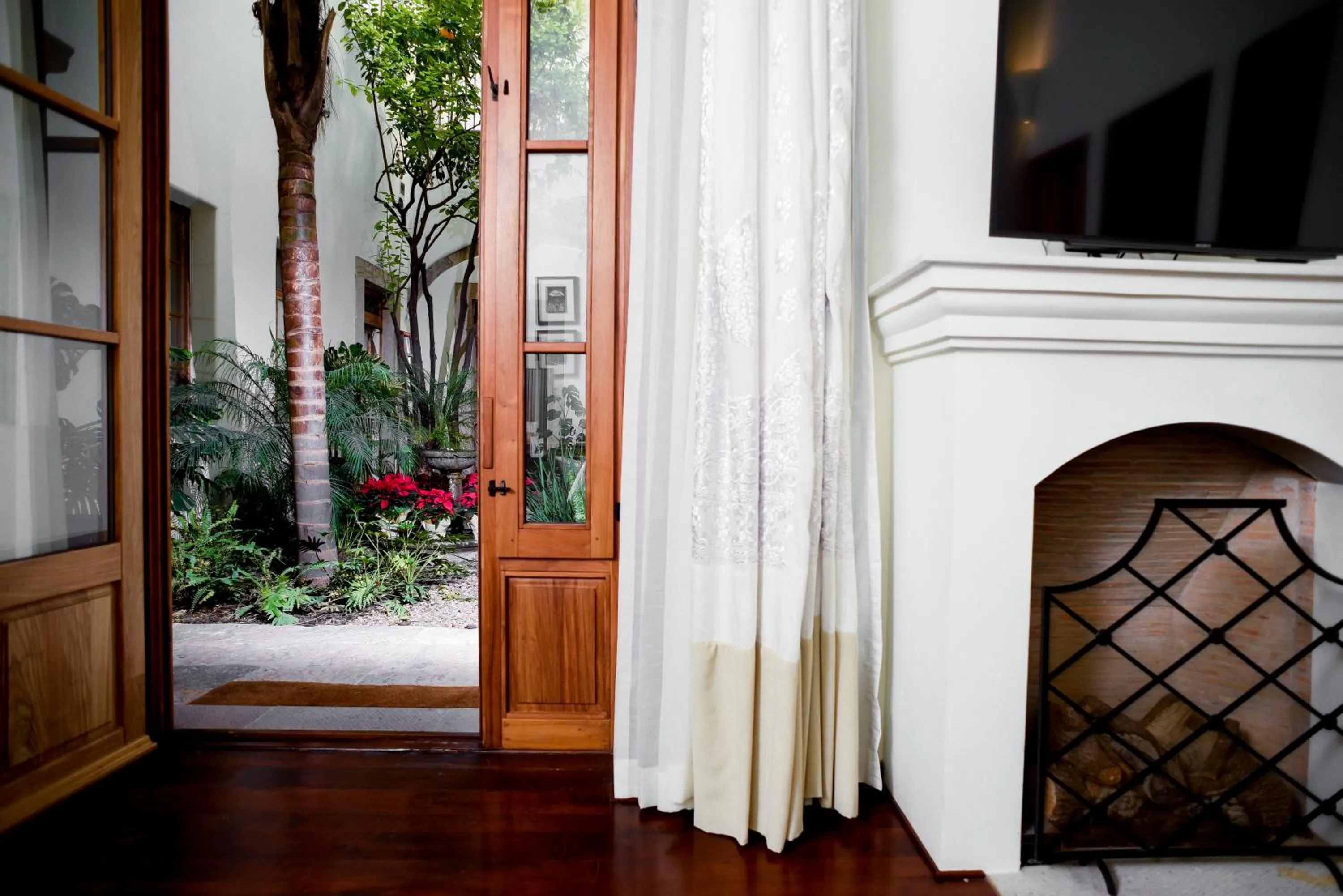 Garden view in Hotel Casa Blanca 7