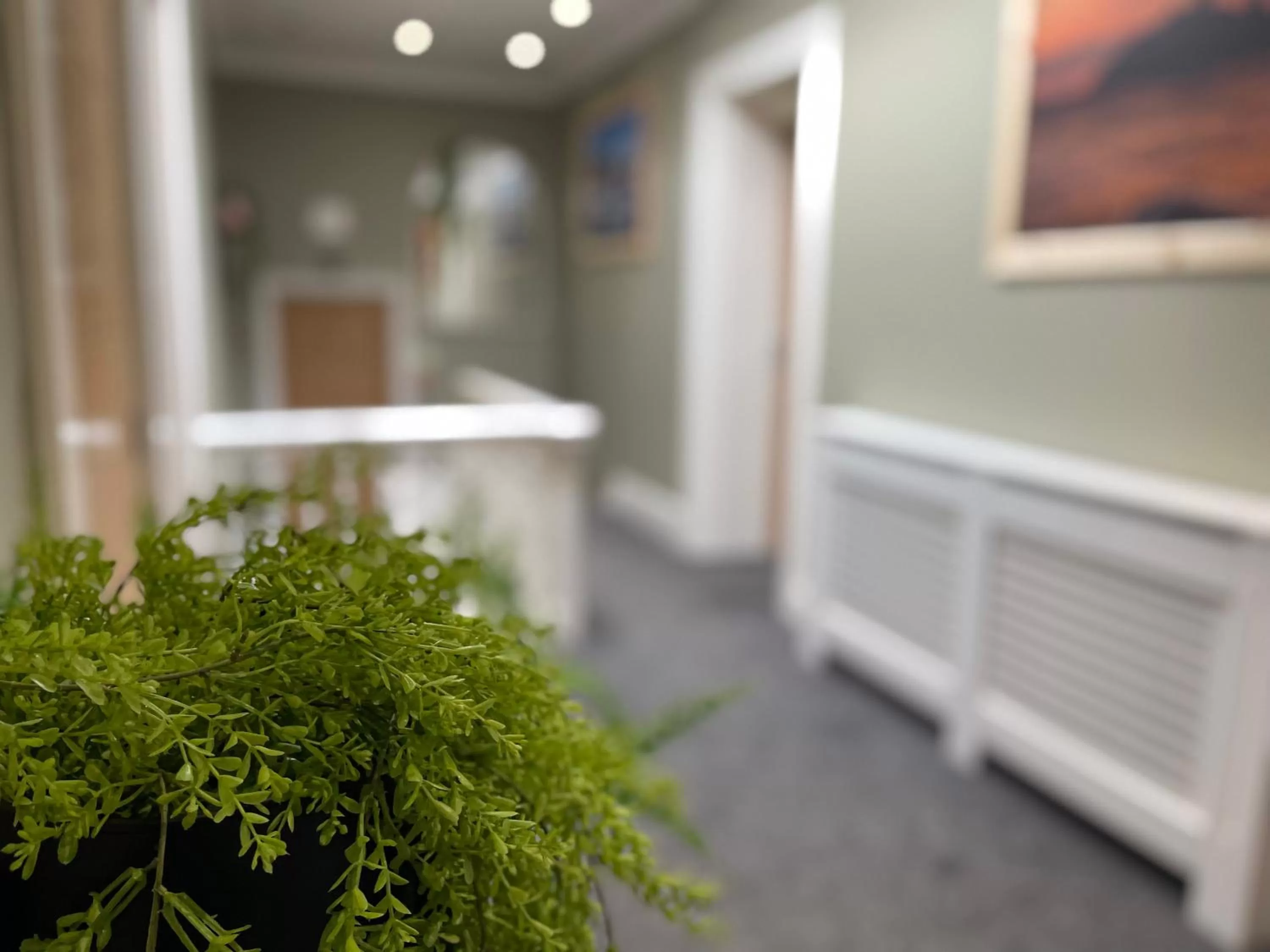 Property building in Y Griffin