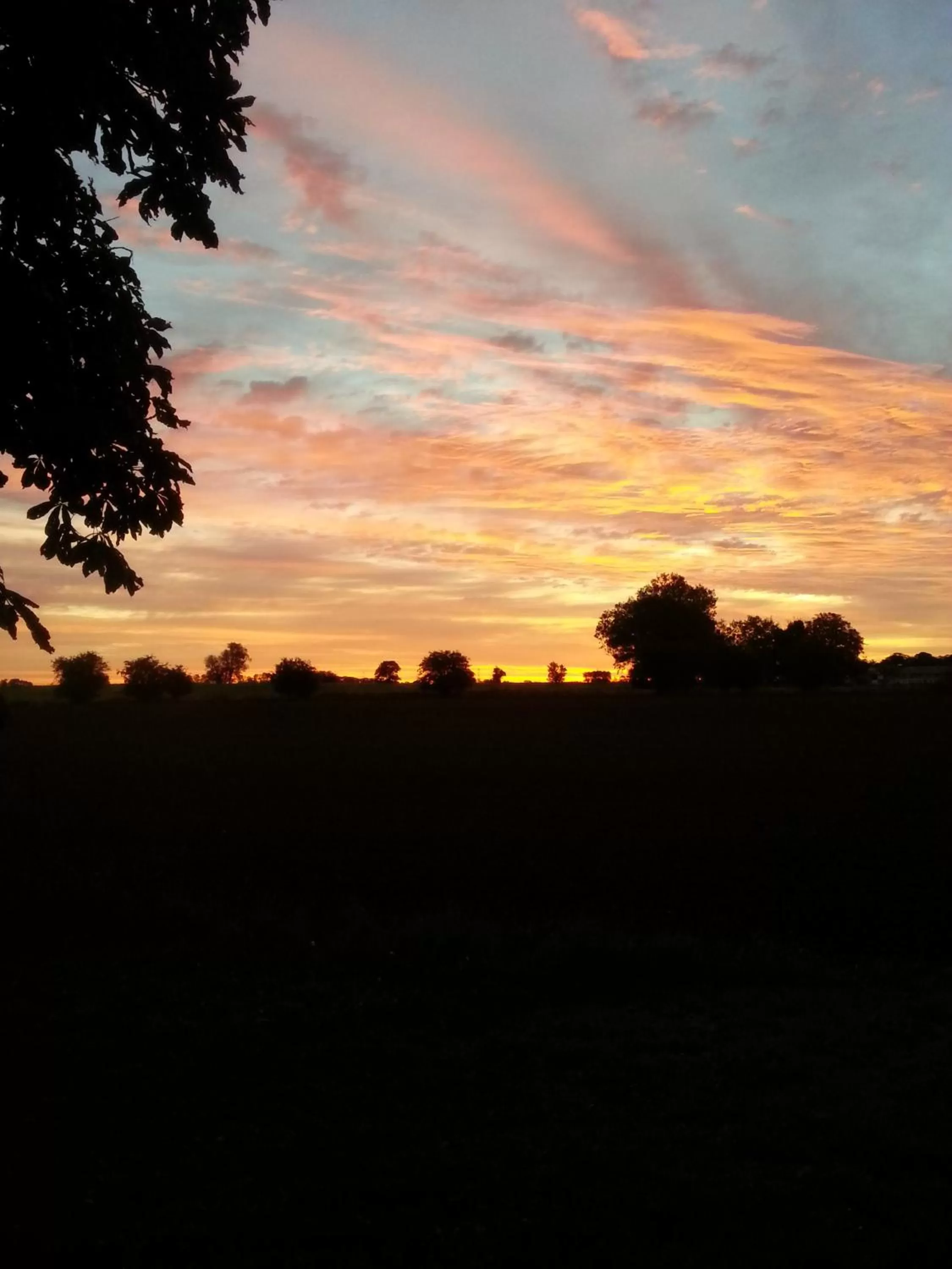 View (from property/room) in Roskilde B&B