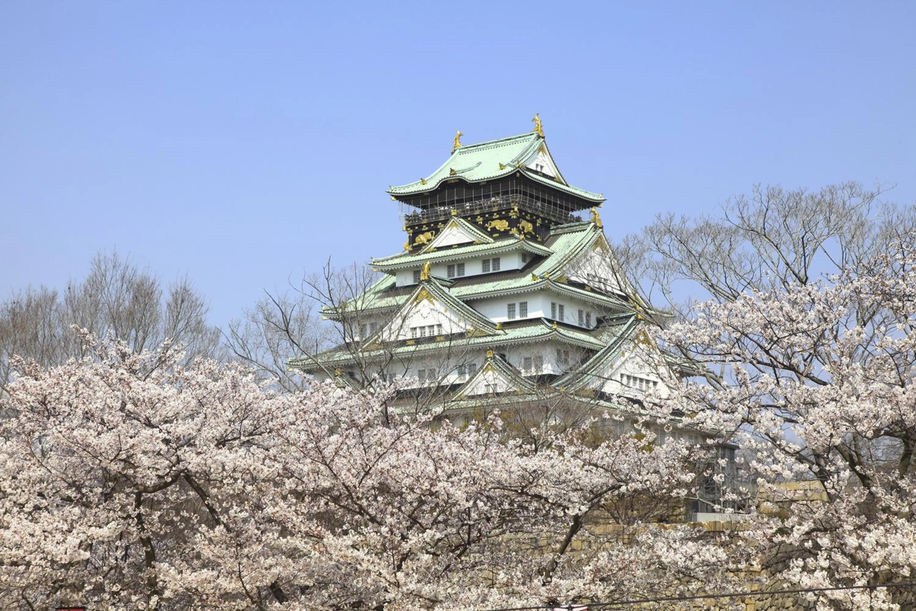 Nearby landmark in Hotel Public Jam