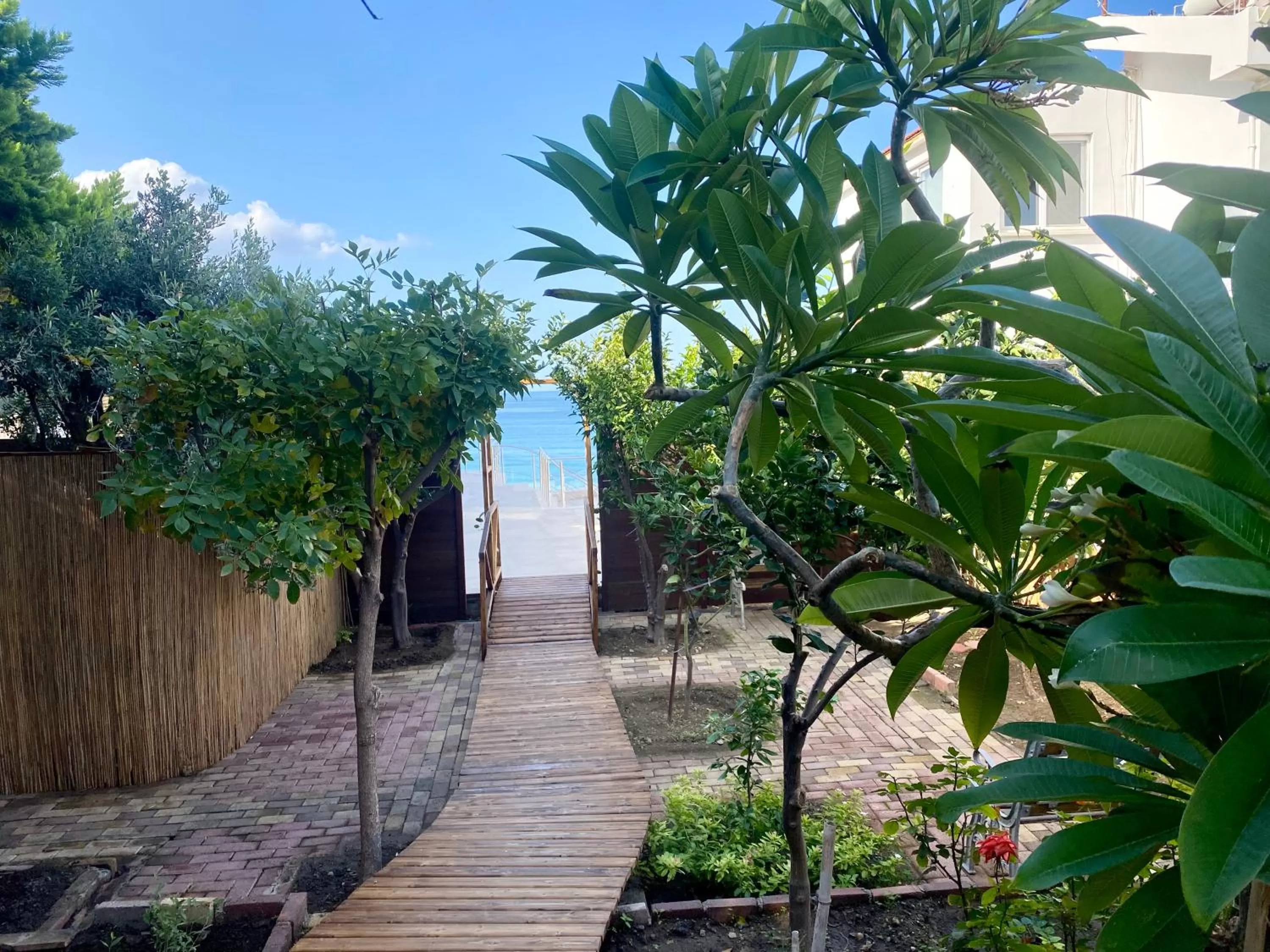 Garden in Sunside Inn Hotel