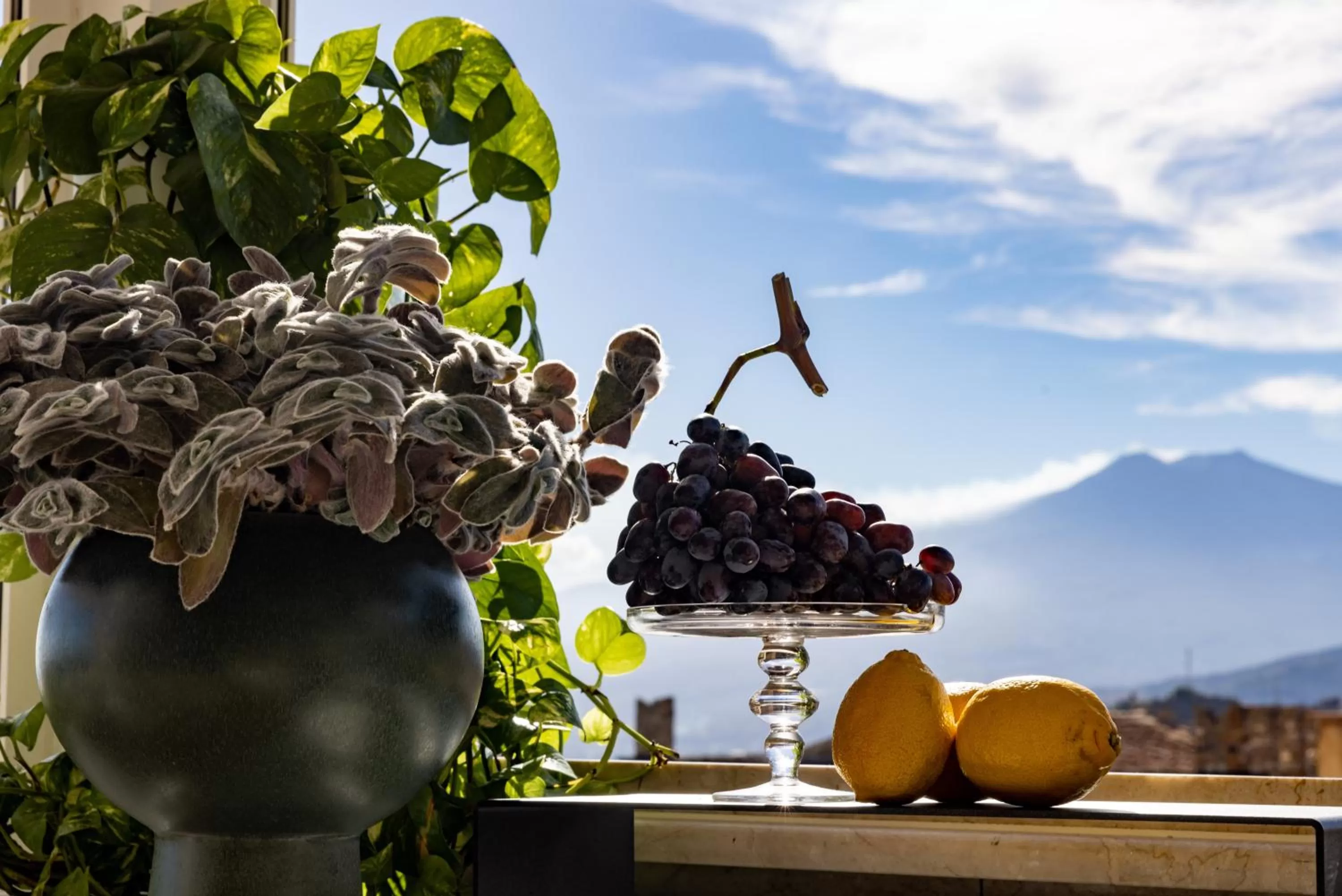 Mountain view in Taodomus Boutique Hotel