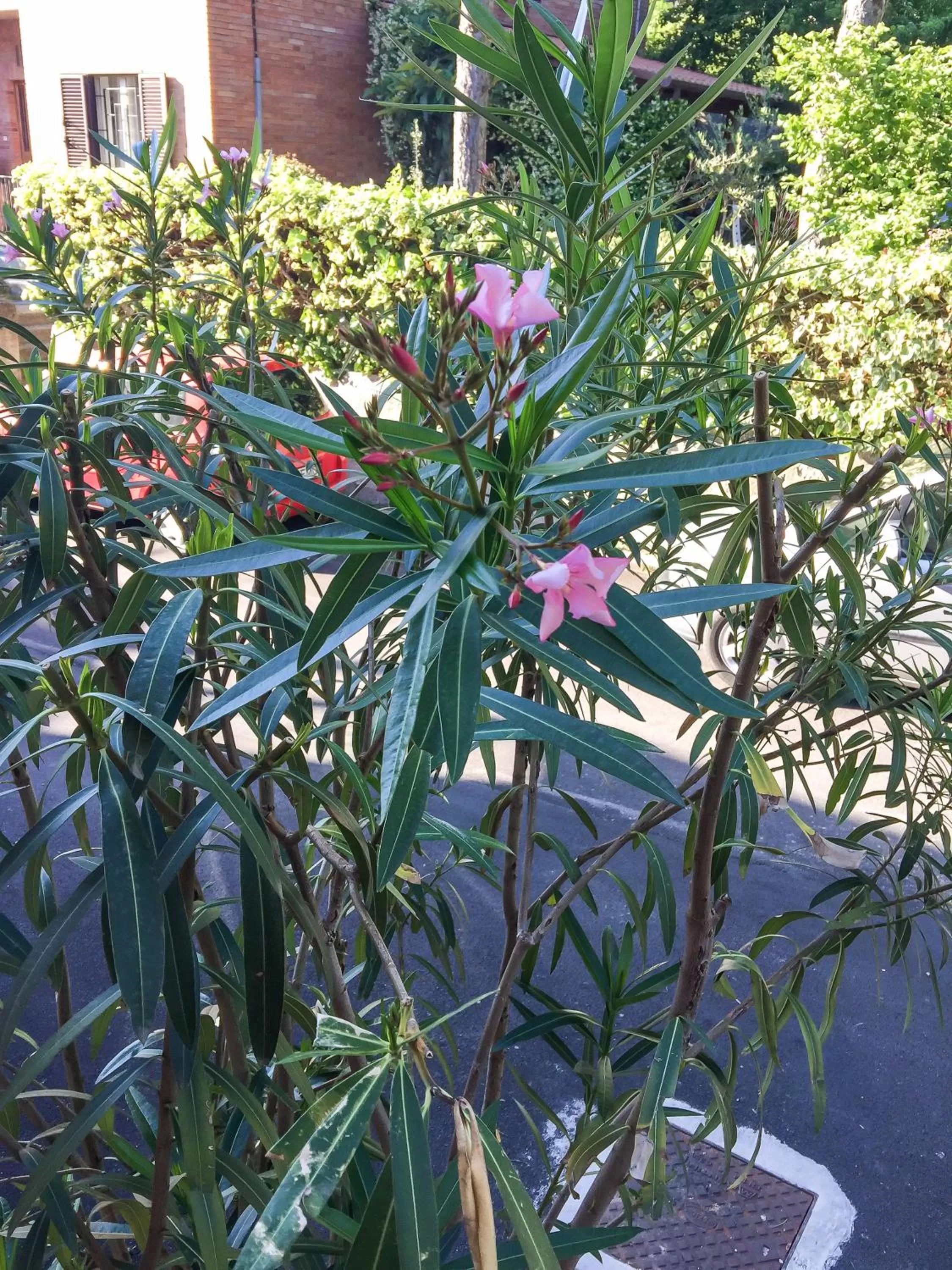 Property building in B&B Villa Sophie