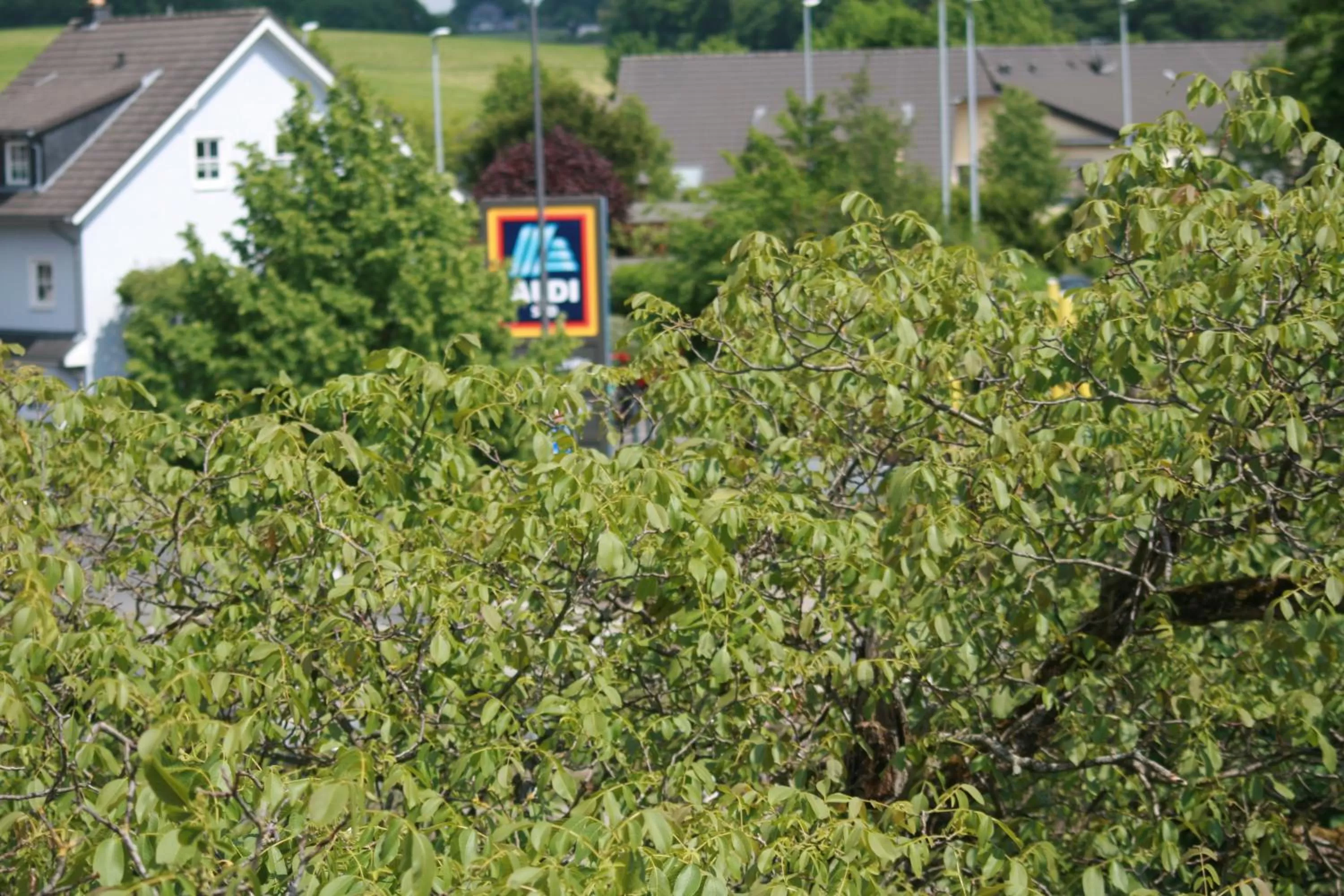 Gästehaus beim Prinz