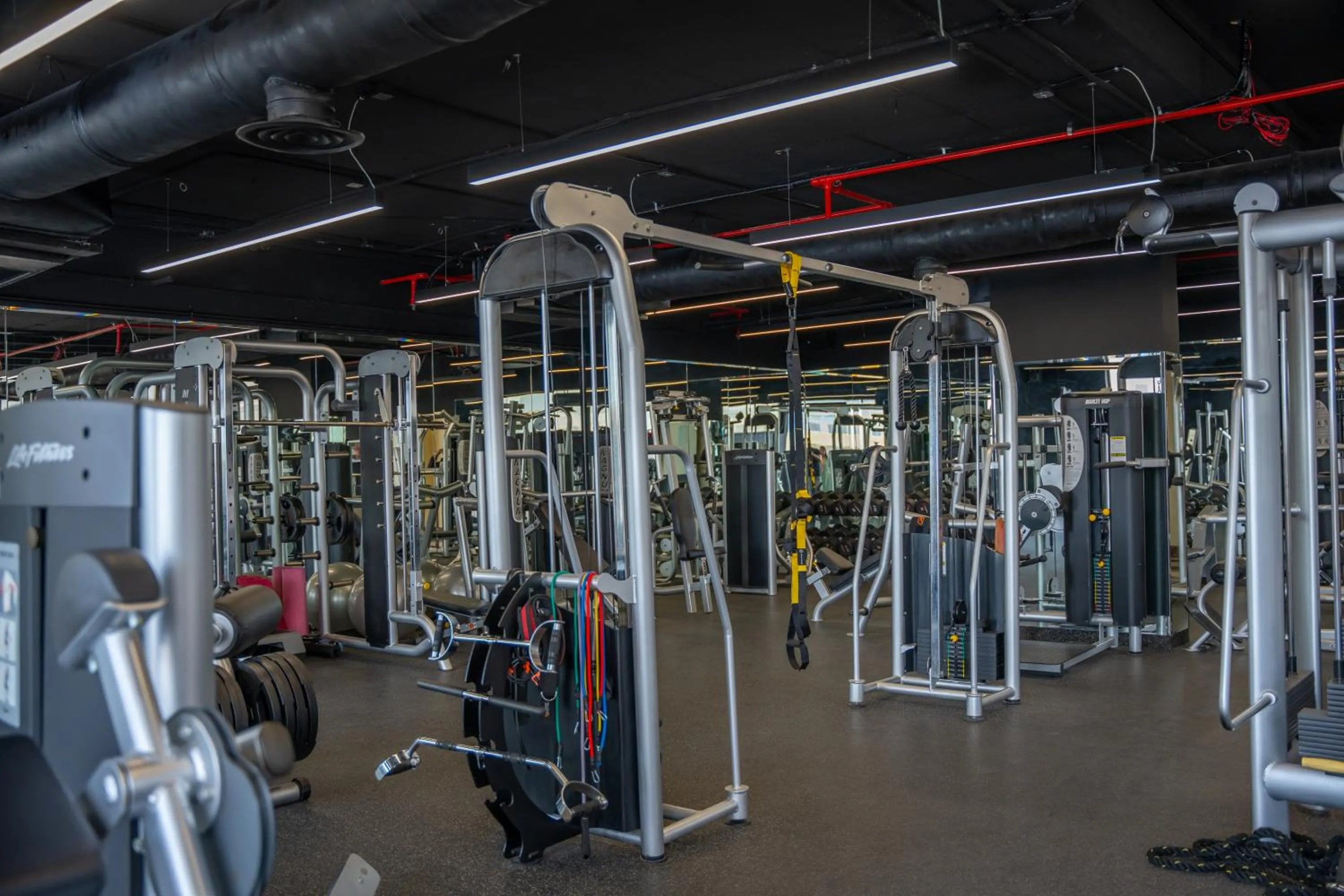 Fitness centre/facilities in Rosemond Al Hamra