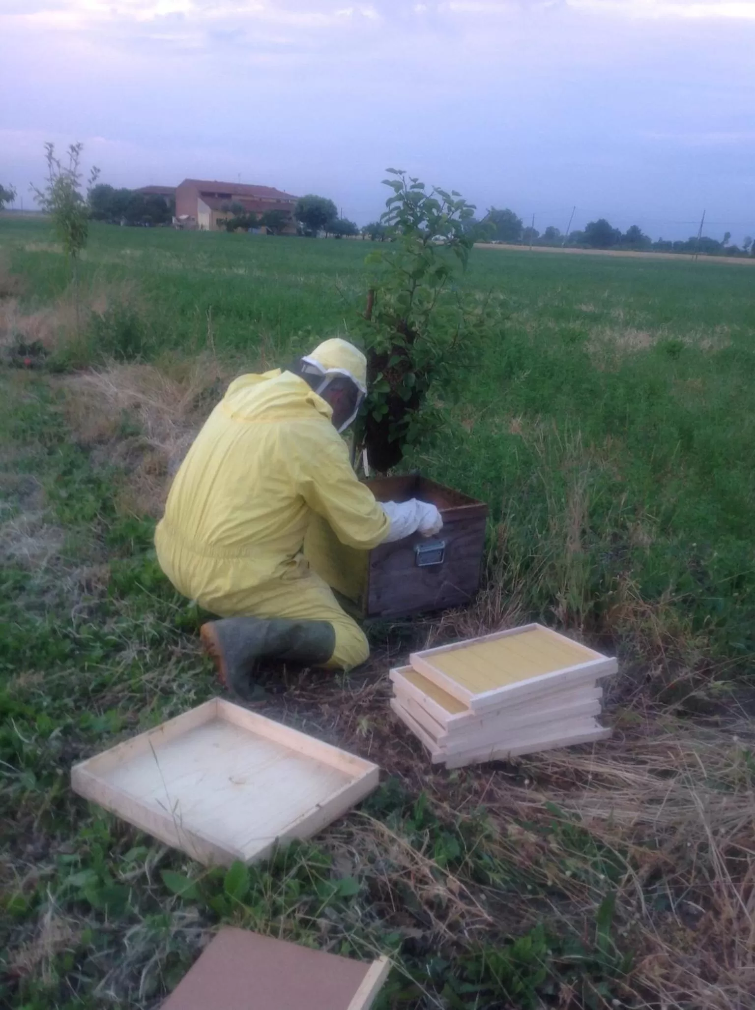 Area and facilities in B&B Lattemiele