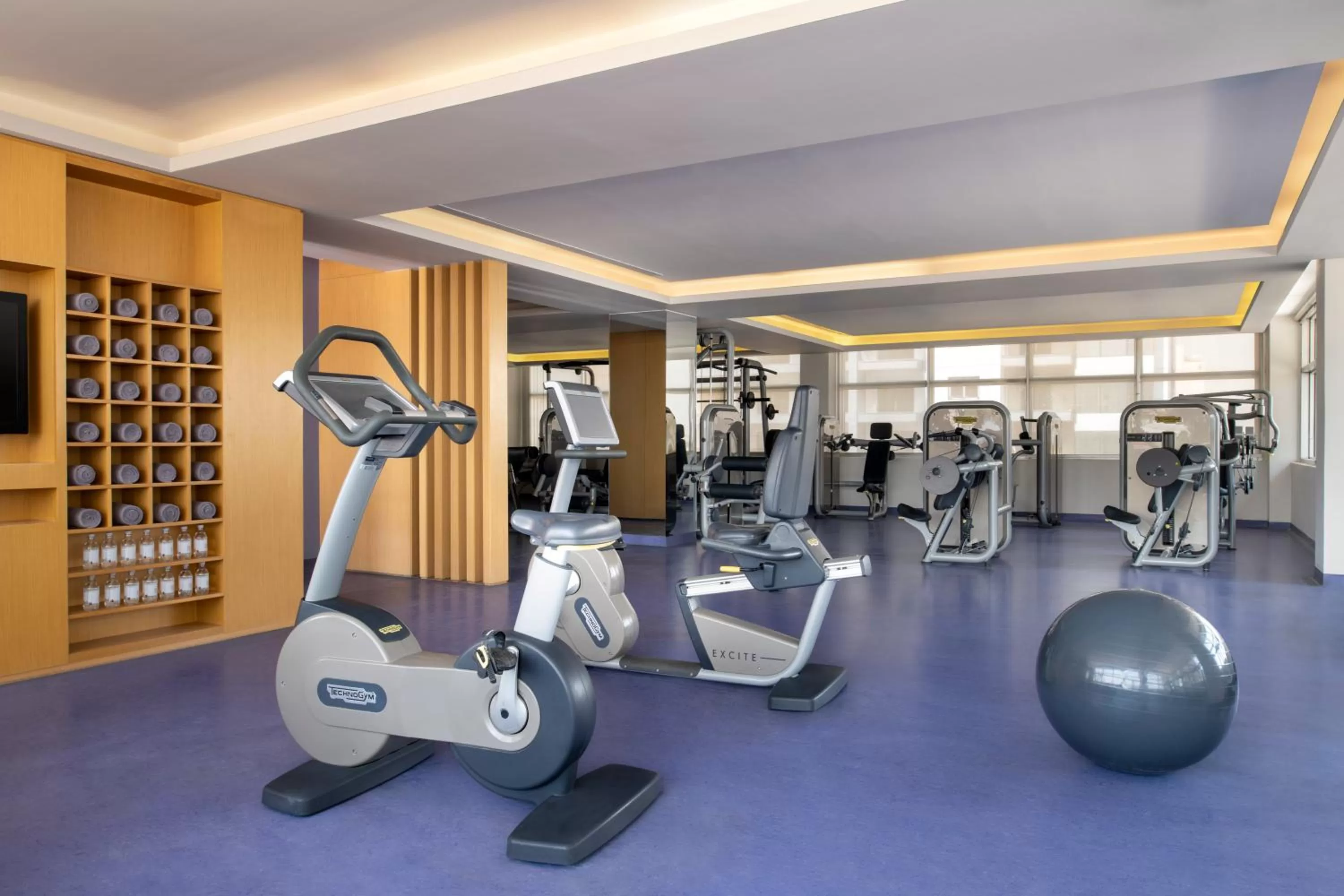 Fitness centre/facilities in Bristoria Hotel Erbil