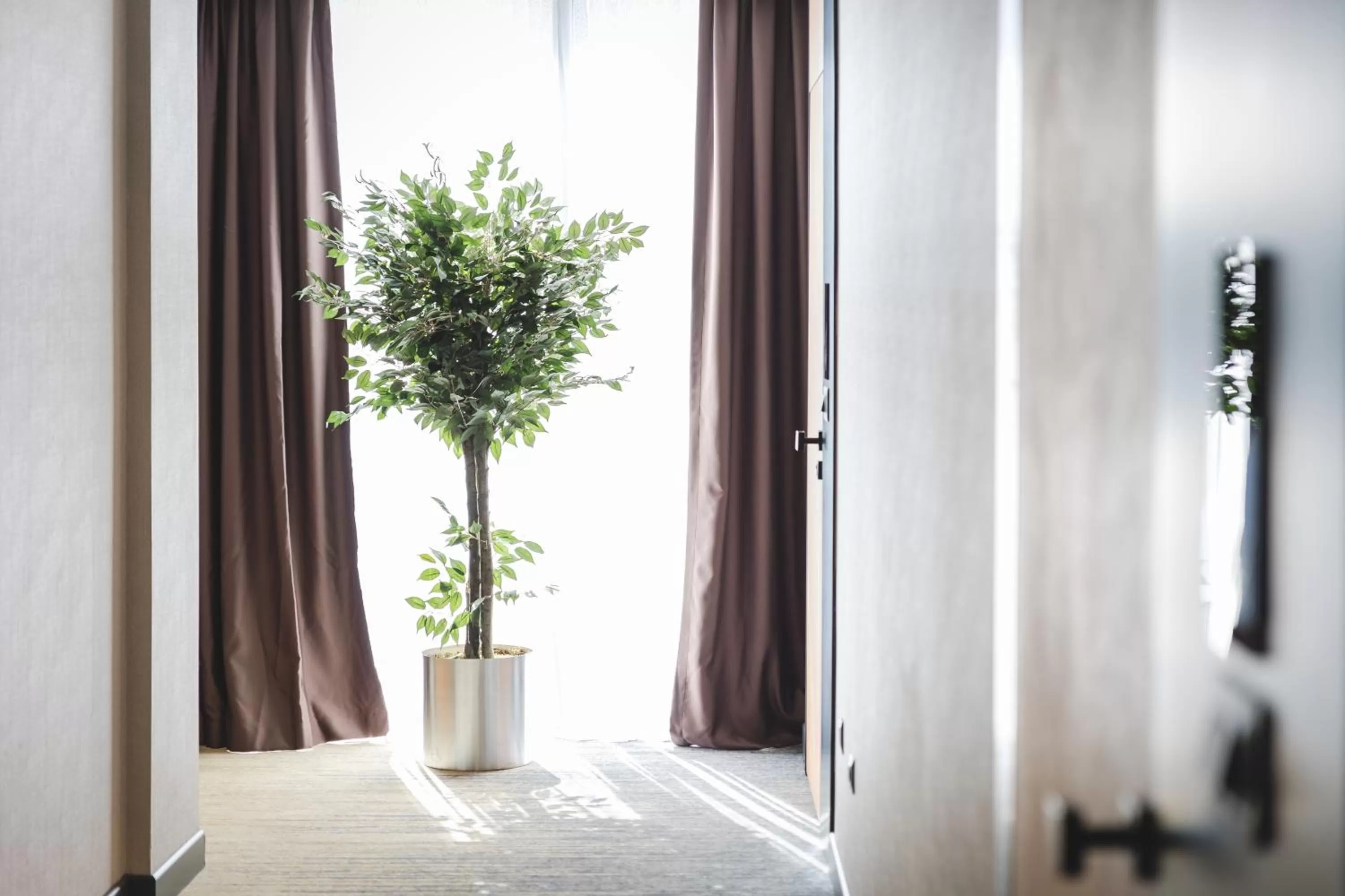 Decorative detail in Bristol Hotel Podgorica