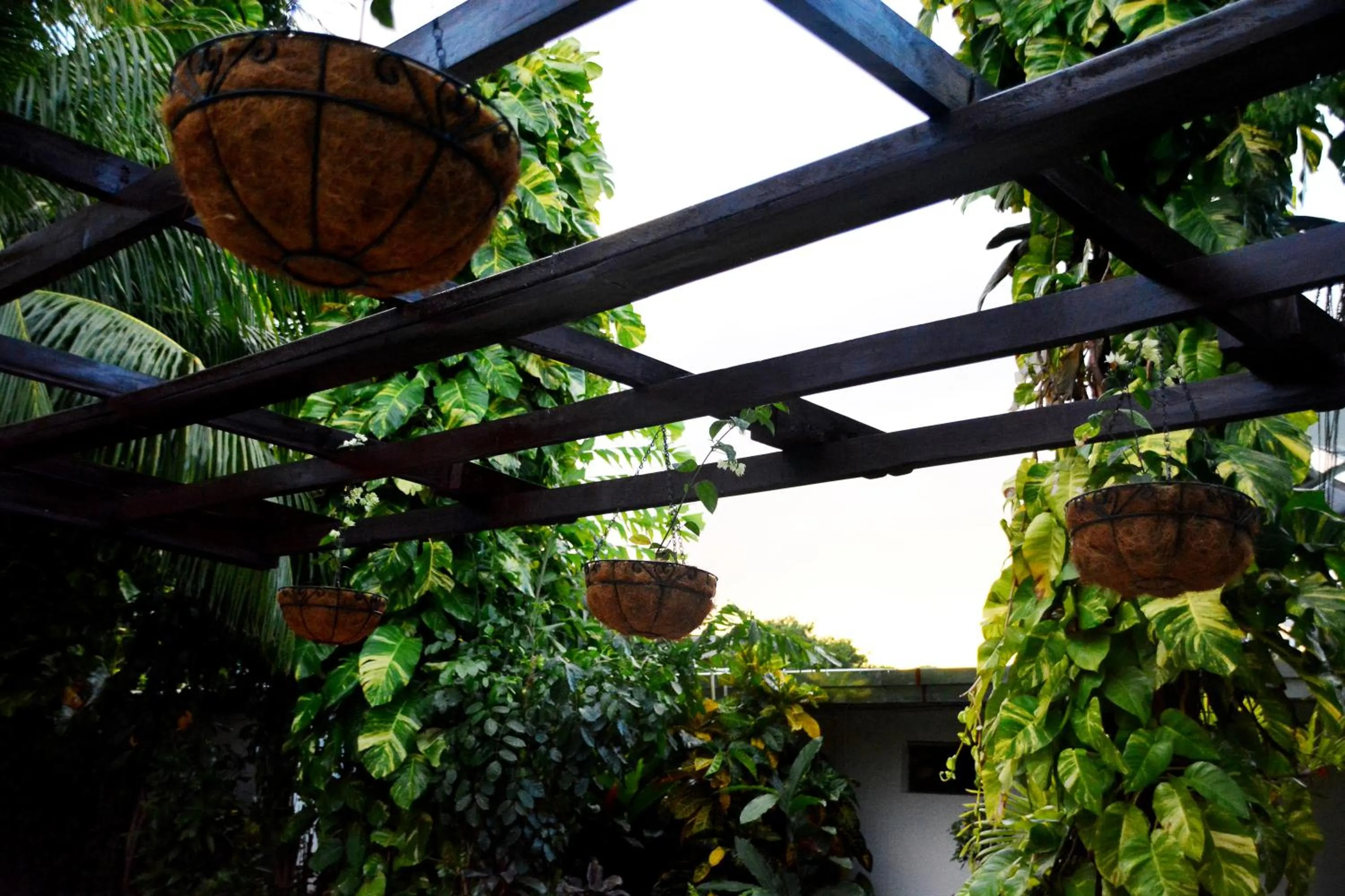 Garden in Hotel Europeo