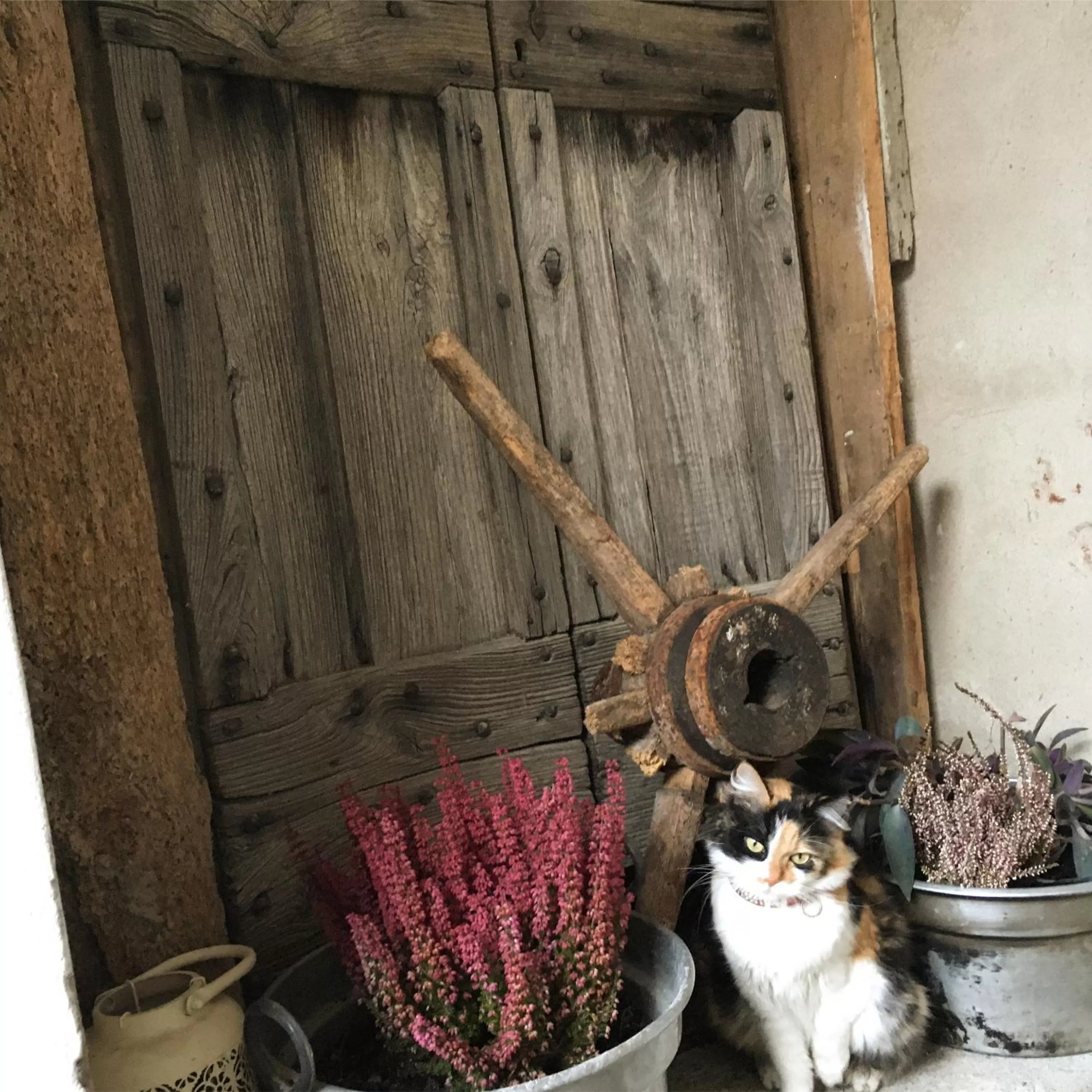 Decorative detail in B&B La Corte del Segrino