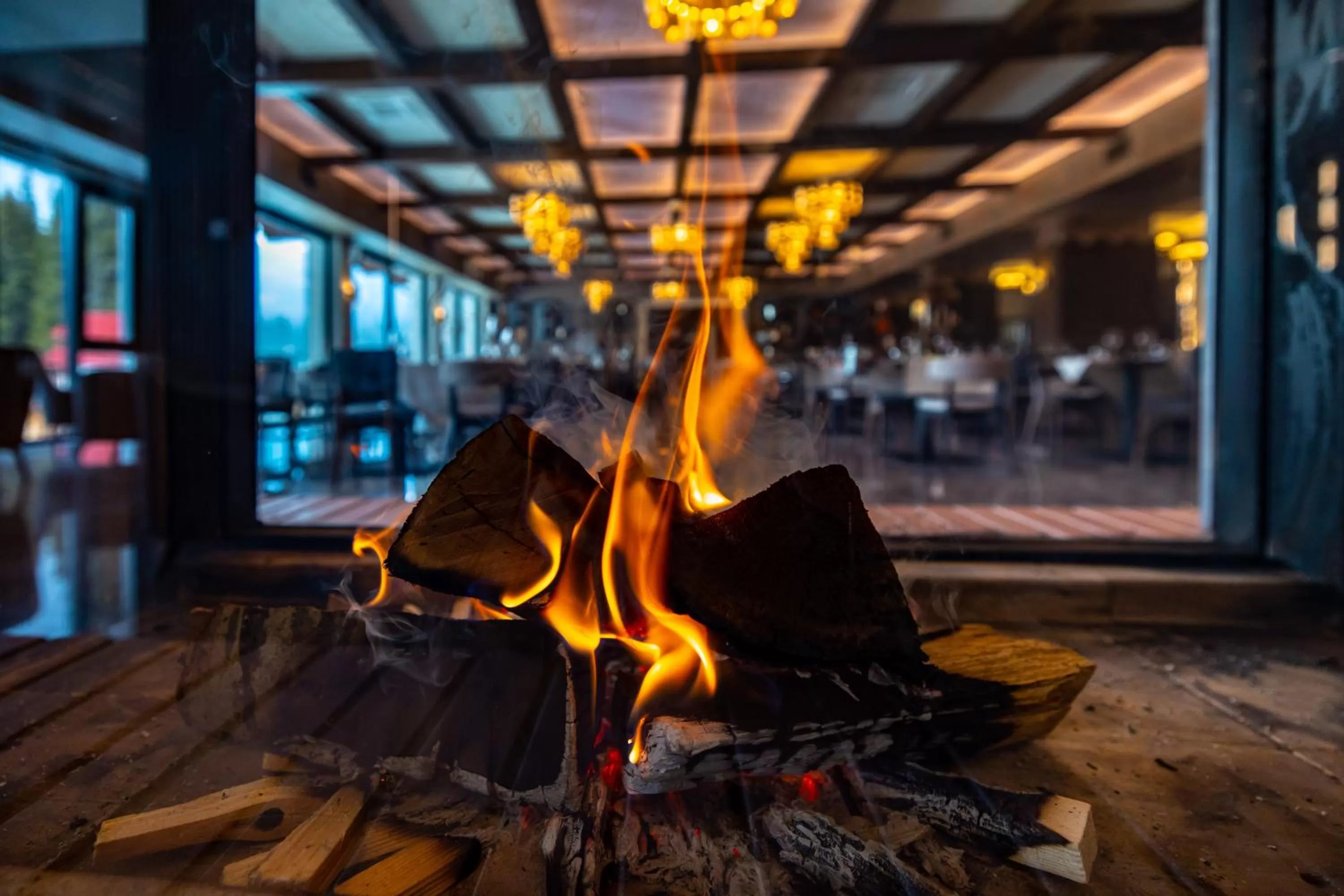 Restaurant/places to eat in Hotel Belmont