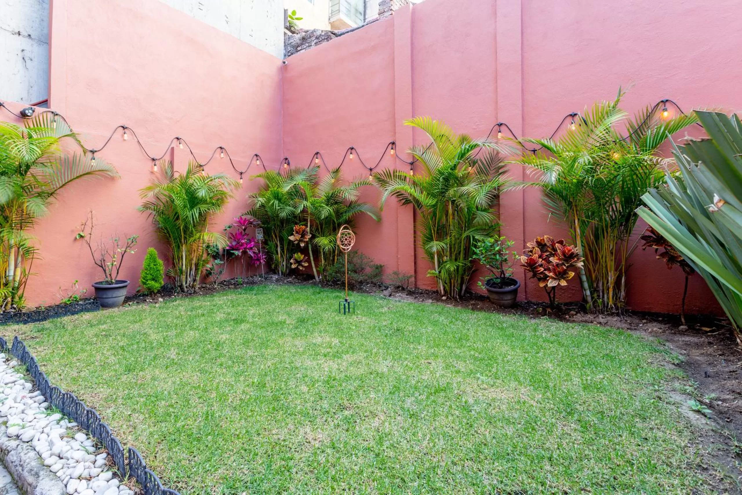 Garden in Suites 259 Condesa