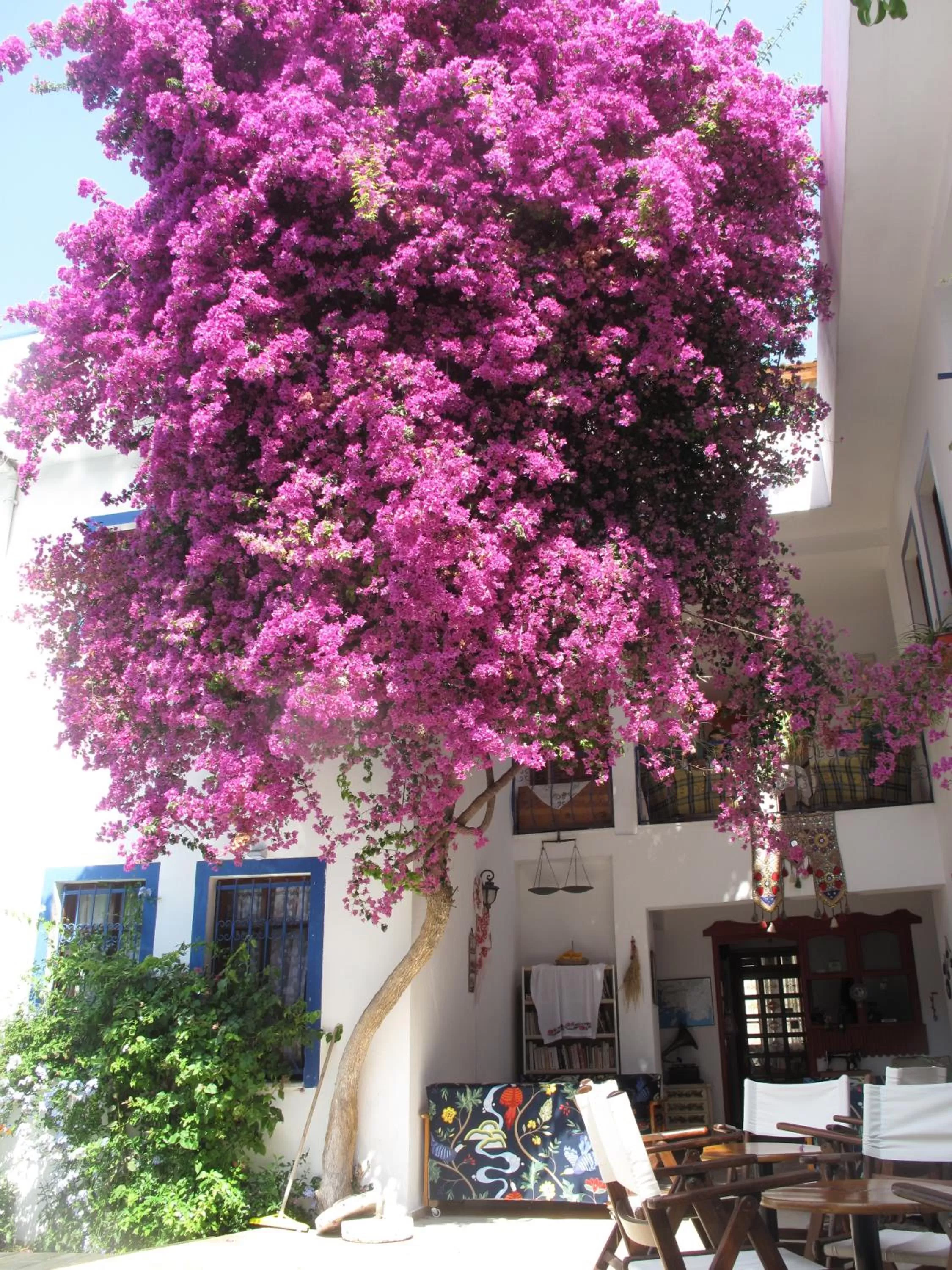 Facade/entrance in Dalyando Apart