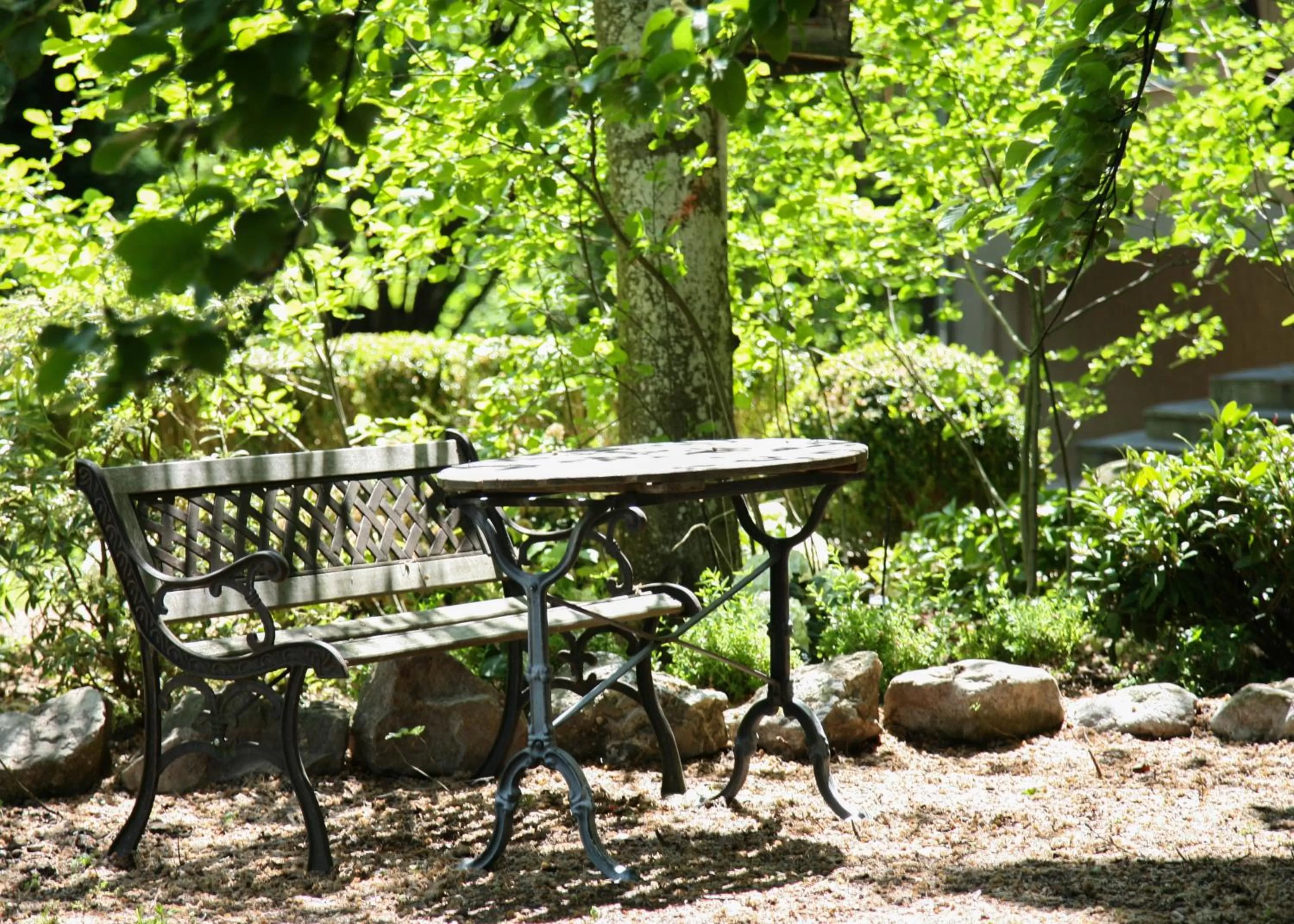 Garden in Villa Zollhaus Bed & Breakfast