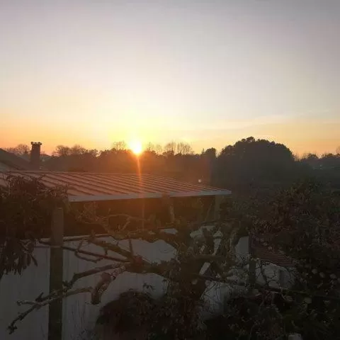 Garden, Sunrise/Sunset in B&B Villa Branca Barreiros AL98139