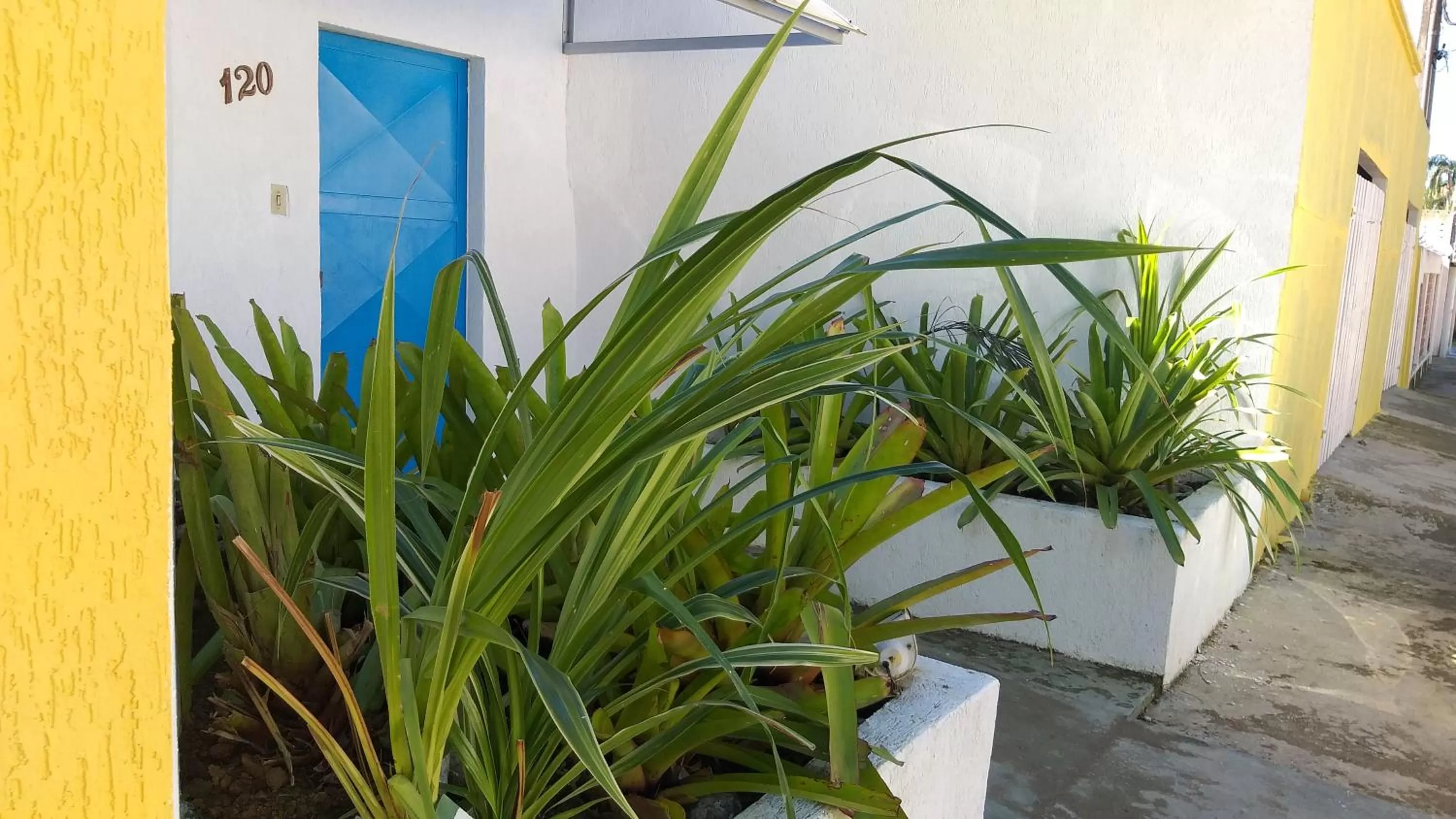 Facade/entrance in Pousada Viva Ubatuba