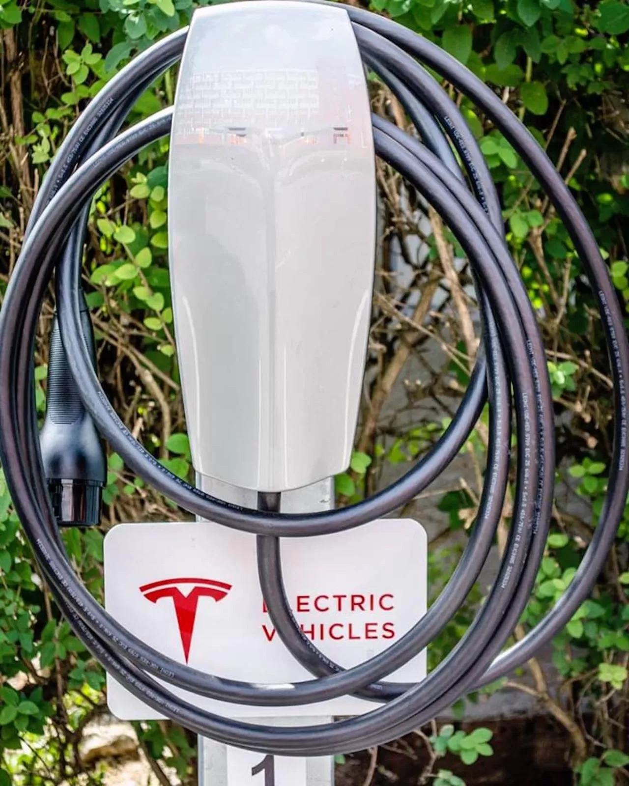 Other in Best Western Hotel Vista