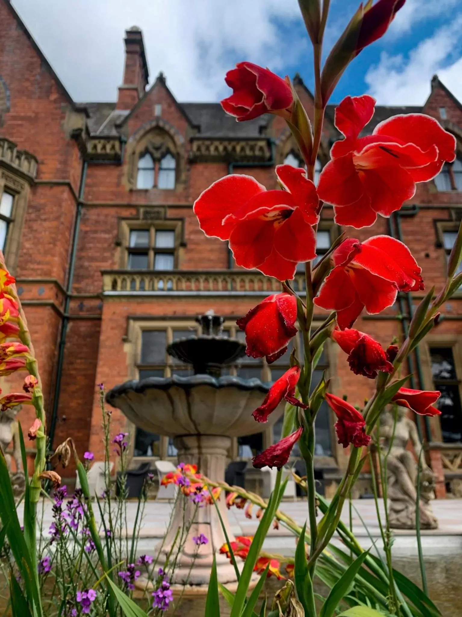 Garden, Property Building in Wroxall Abbey Hotel