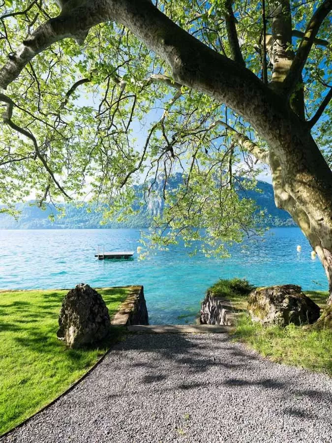 Natural landscape in Campus Hotel Hertenstein